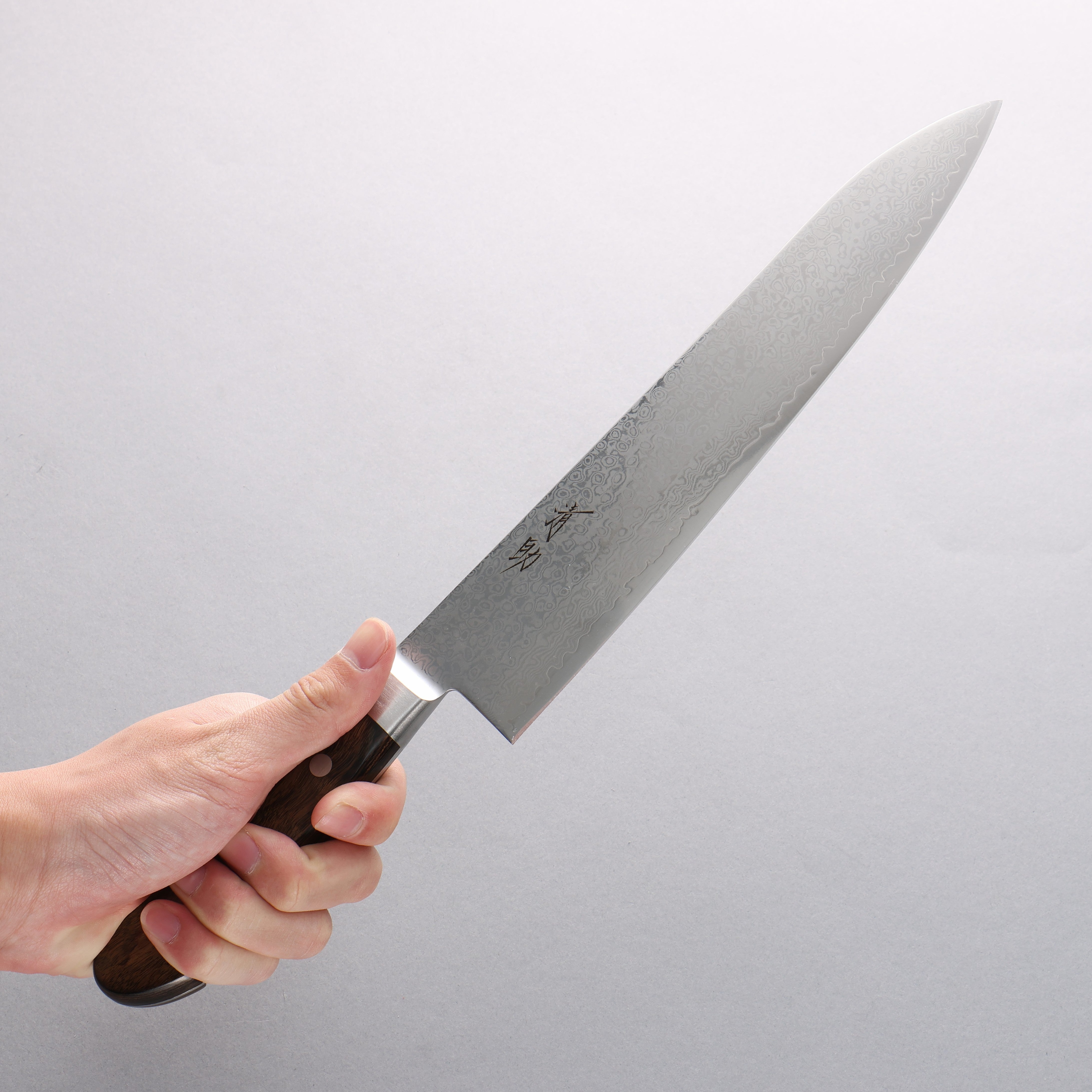 Seisuke VG10 33 Layer Mirrored Finish Damascus Gyuto 240mm Brown Pakka wood Handle - Japanny - Best Japanese Knife
