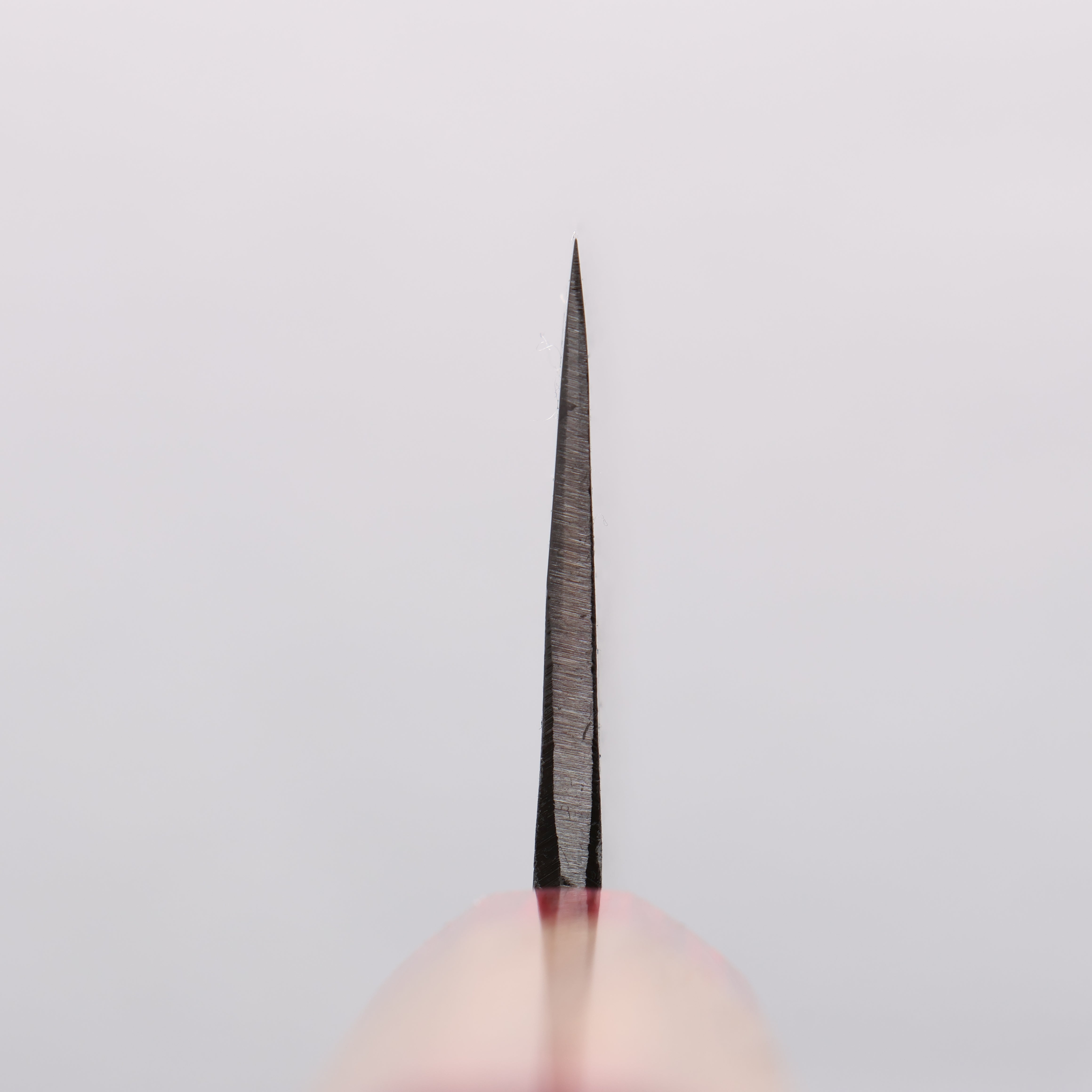 Seisuke Kurumi Blue Steel Kurouchi Usuba 165mm Walnut (With Double Red Pakka wood) Handle - Japanny - Best Japanese Knife