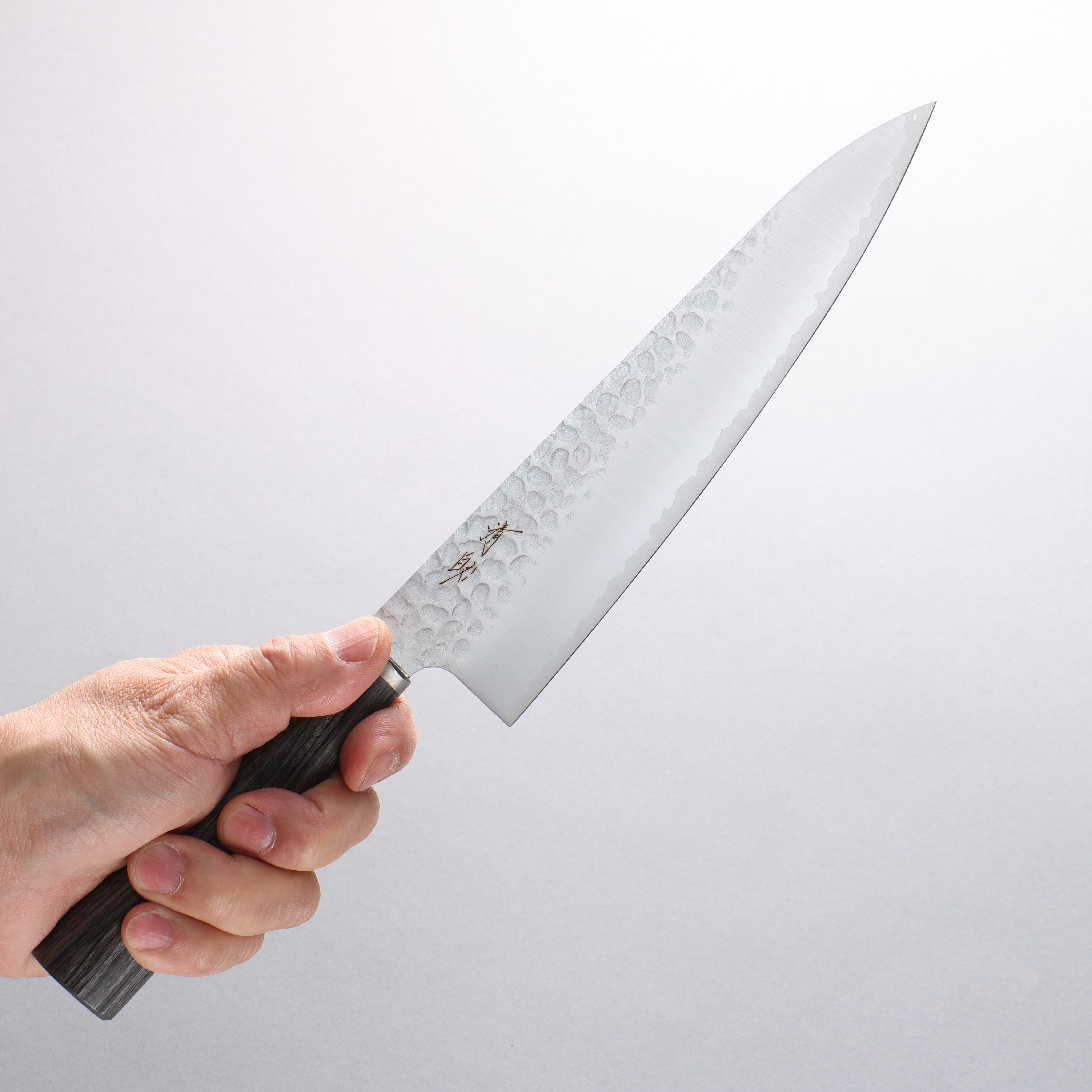 Seisuke VG10 Hammered Gyuto 200mm Charcoal Gray Pakka wood Handle - Japanny - Best Japanese Knife