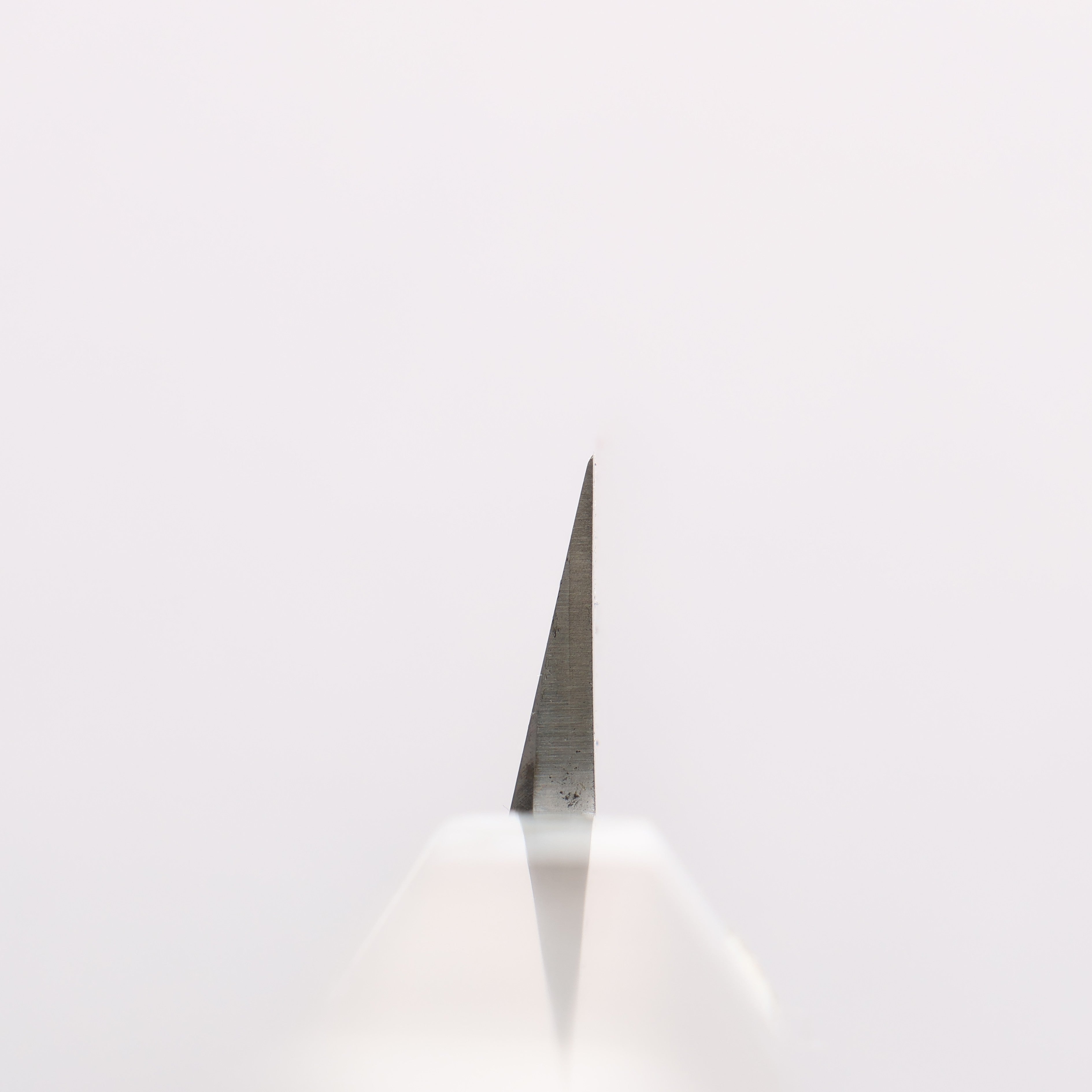 Sakai Takayuki Chef Series Silver Steel No.3 Yanagiba 300mm Stabilized wood (White Ferrule and End Cap) Handle with Sheath - Japanny - Best Japanese Knife