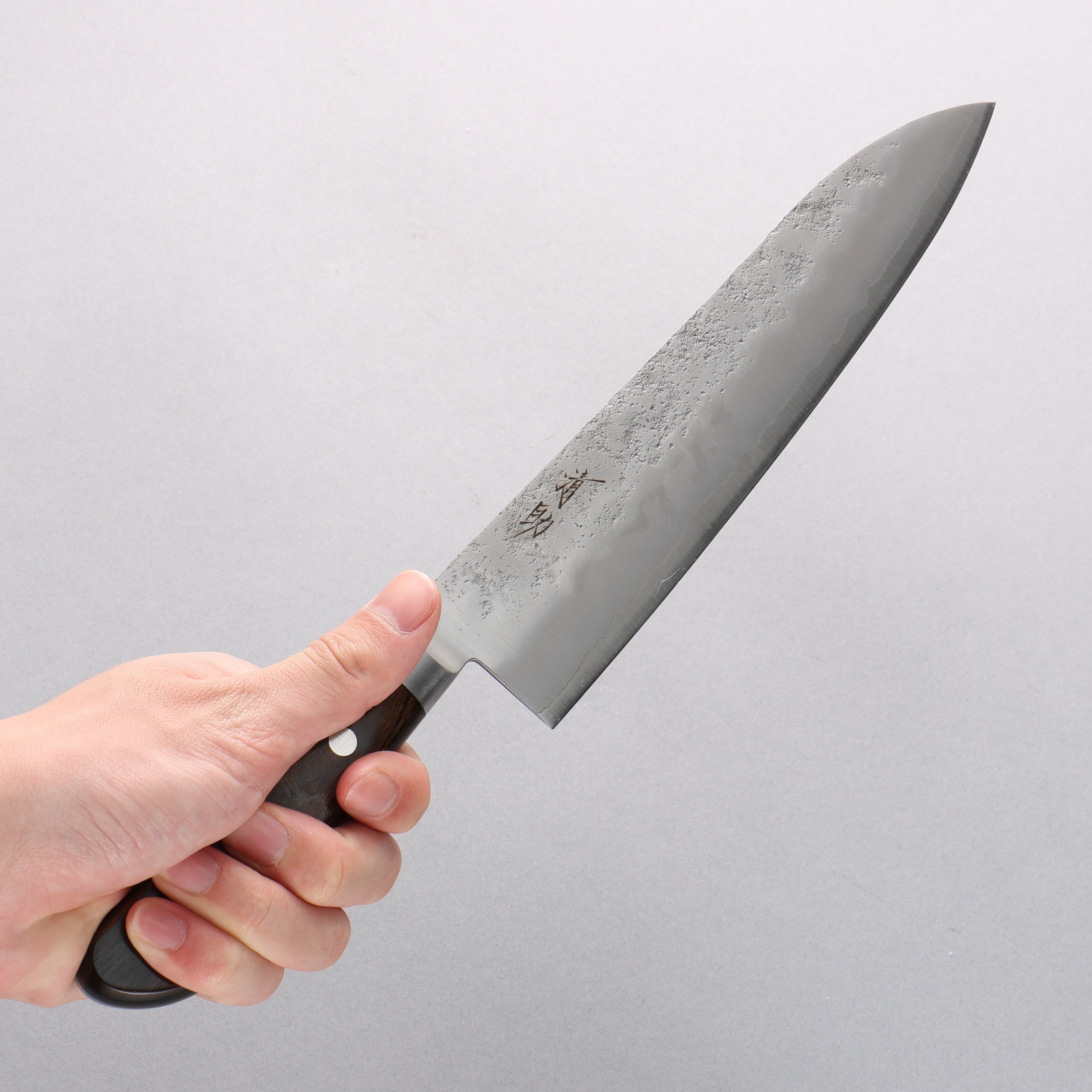 Seisuke Silver Steel No.3 Nashiji Gyuto 210mm Brown Pakka wood Handle - Japanny - Best Japanese Knife