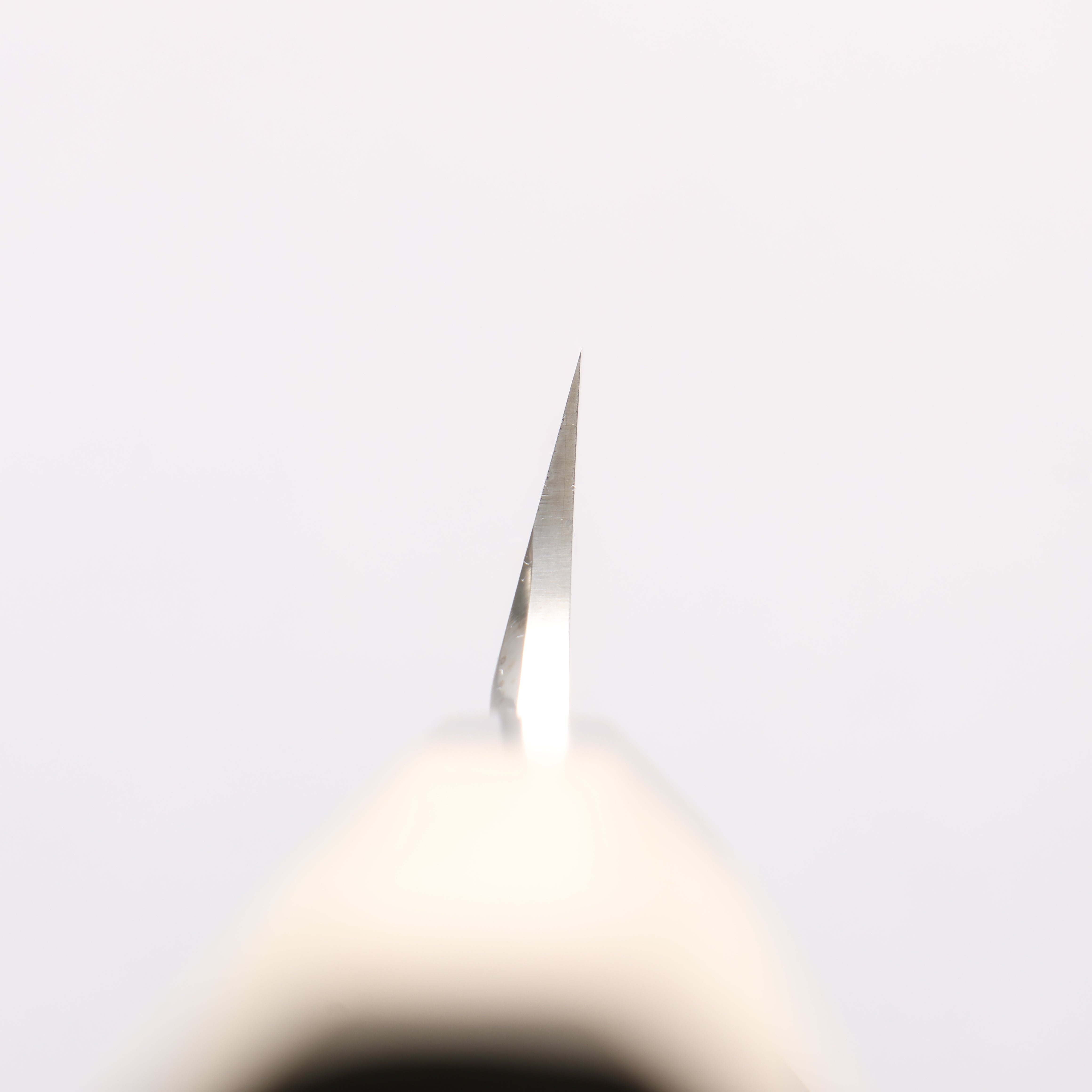 Sakai Takayuki Chef Series Silver Steel No.3 Kiritsuke Yanagiba 270mm Magnolia Handle - Japanny - Best Japanese Knife