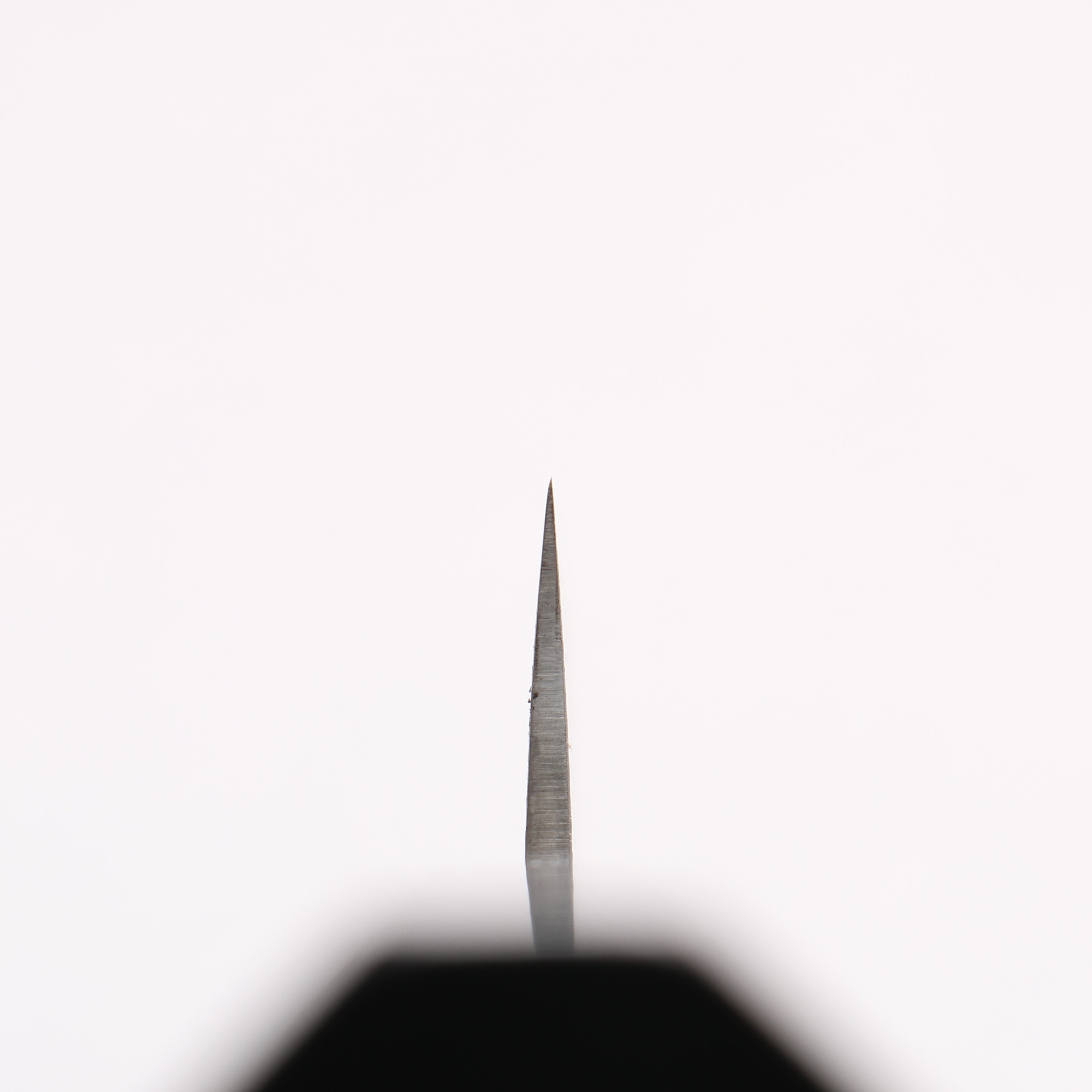 Shigeki Tanaka Habakiri SG2 Damascus Slicer 240mm Ebony Wood Handle - Japanny - Best Japanese Knife