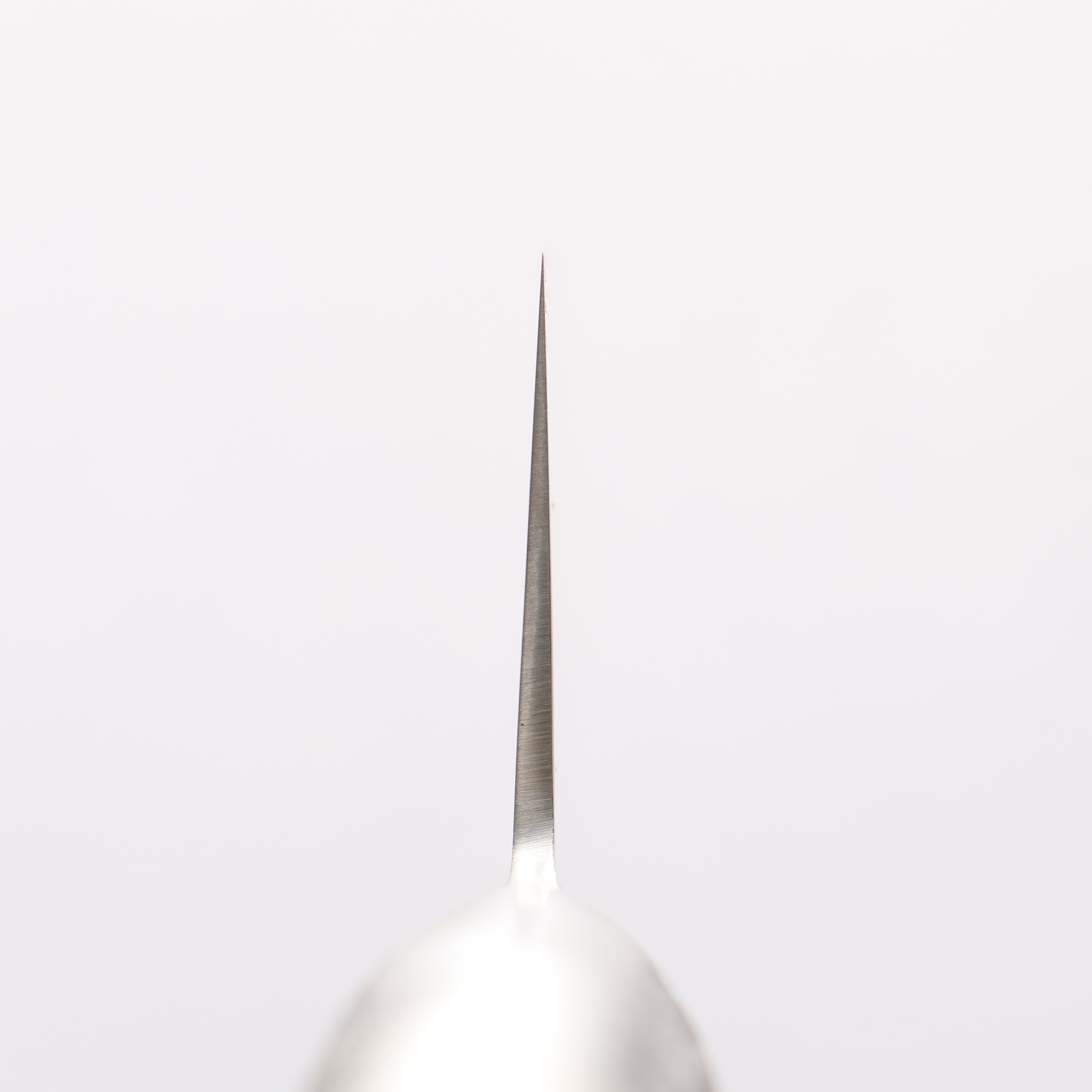 Sakai Takayuki INOX PRO Molybdenum Gyuto 240mm - Japanny - Best Japanese Knife
