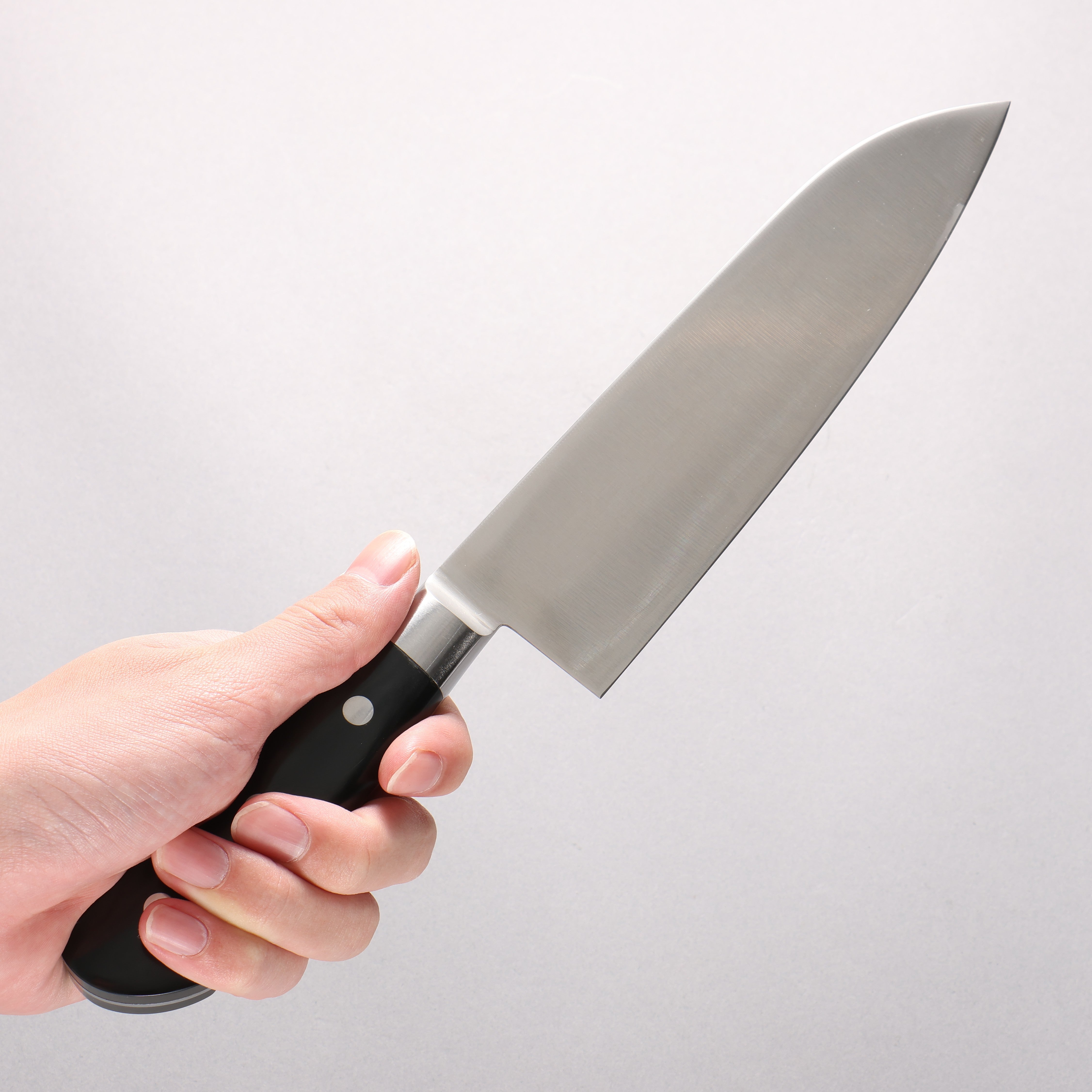 Iseya Molybdenum Santoku 180mm Black Micarta Handle - Japanny - Best Japanese Knife