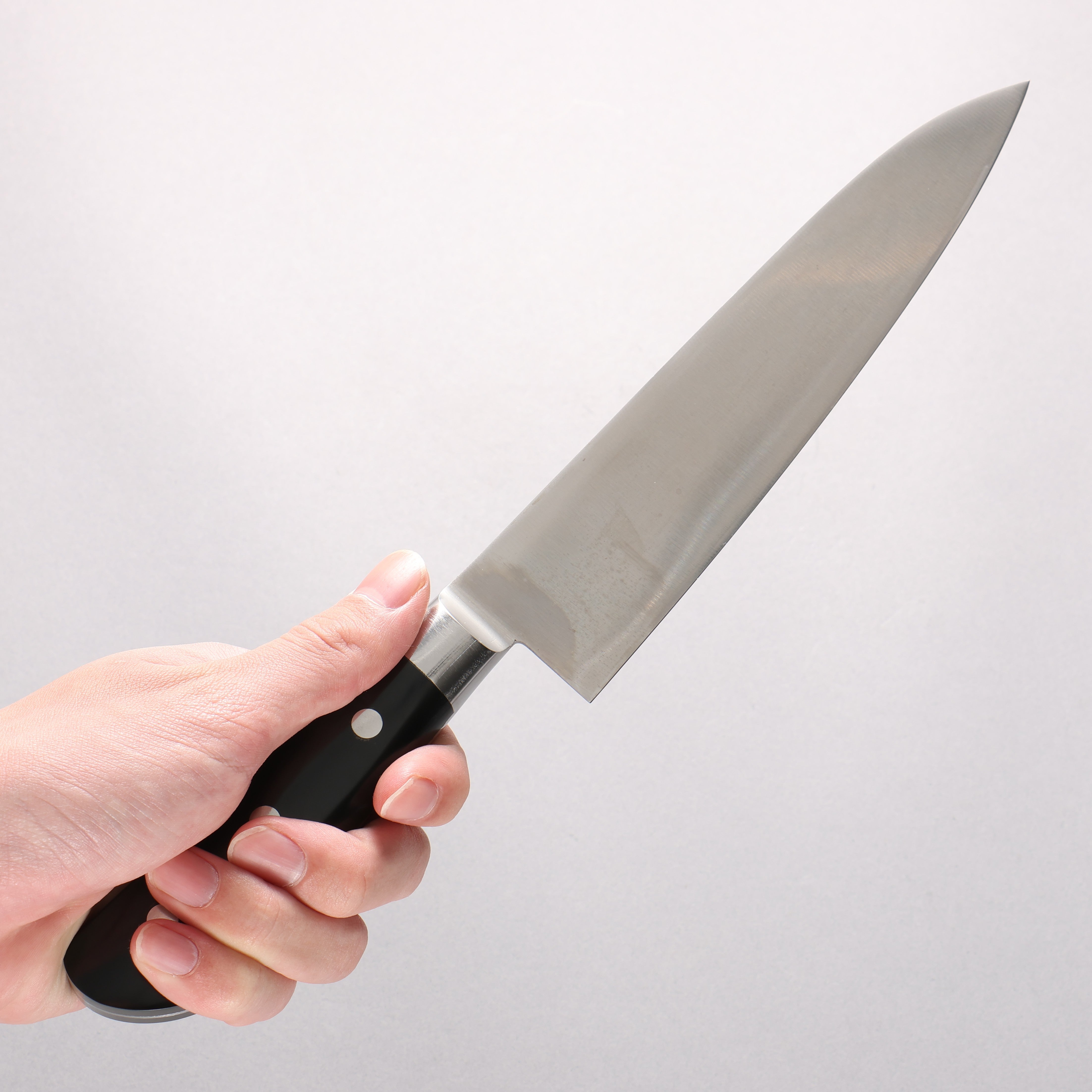 Iseya Molybdenum Gyuto 180mm Black Micarta Handle - Japanny - Best Japanese Knife