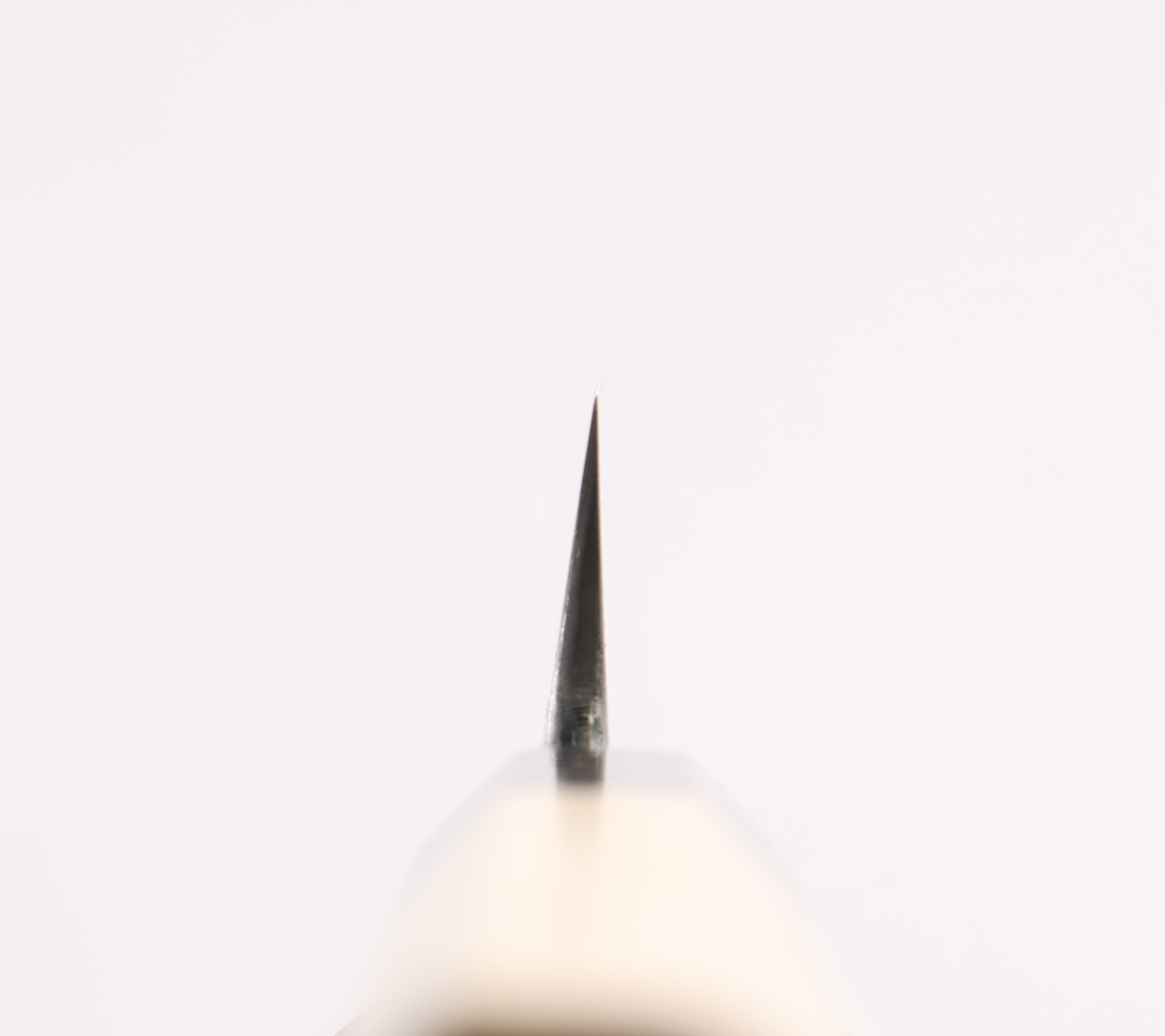 Minamoto Akitada Blue Steel No.1 Yanagiba 270mm Magnolia (Ferrule: Water Buffalo Horn) Handle - Japanny - Best Japanese Knife