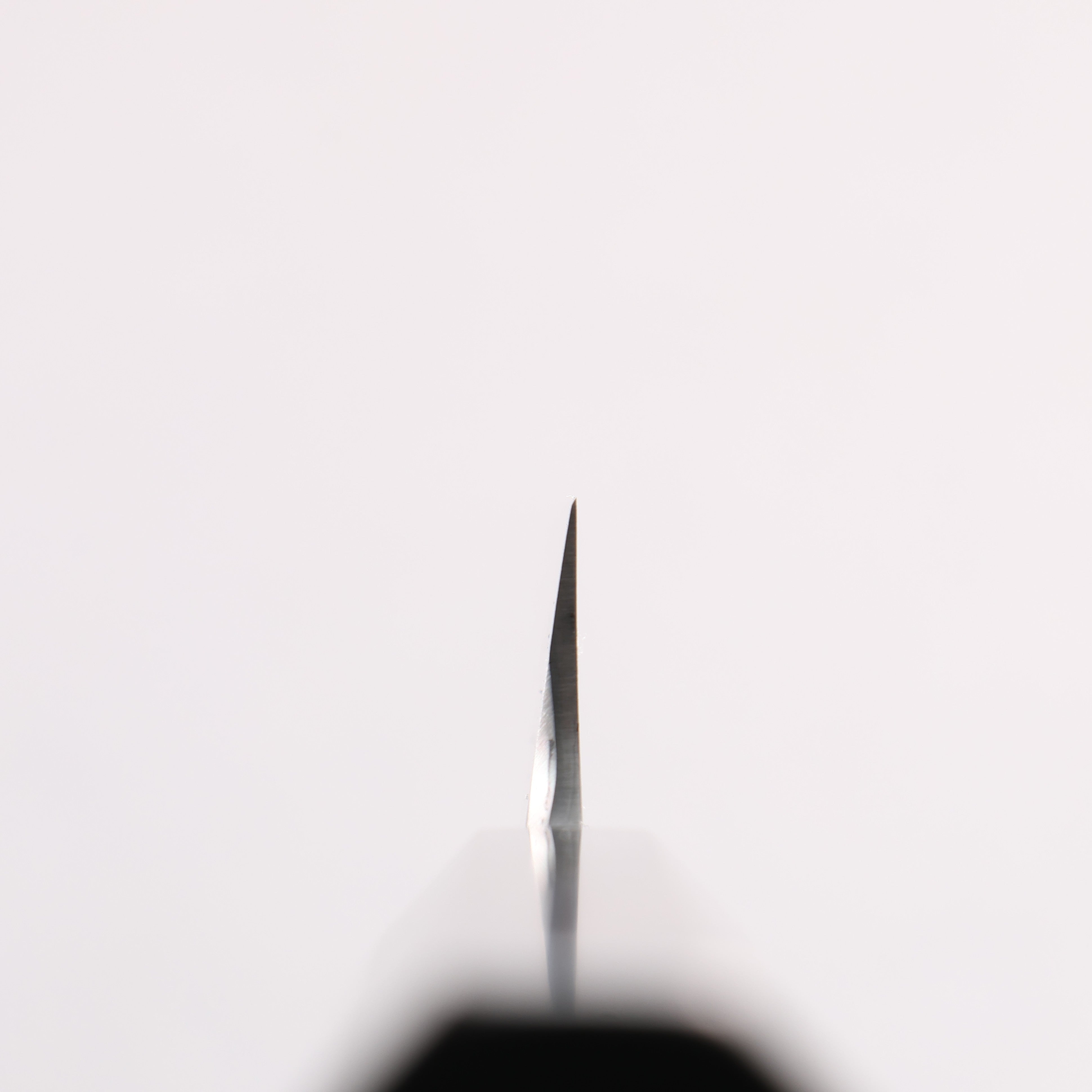 Tessen by Tanaka Tamahagane Mirrored Finish Yanagiba 270mm Ebony Wood Handle with Sheath - Japanny - Best Japanese Knife