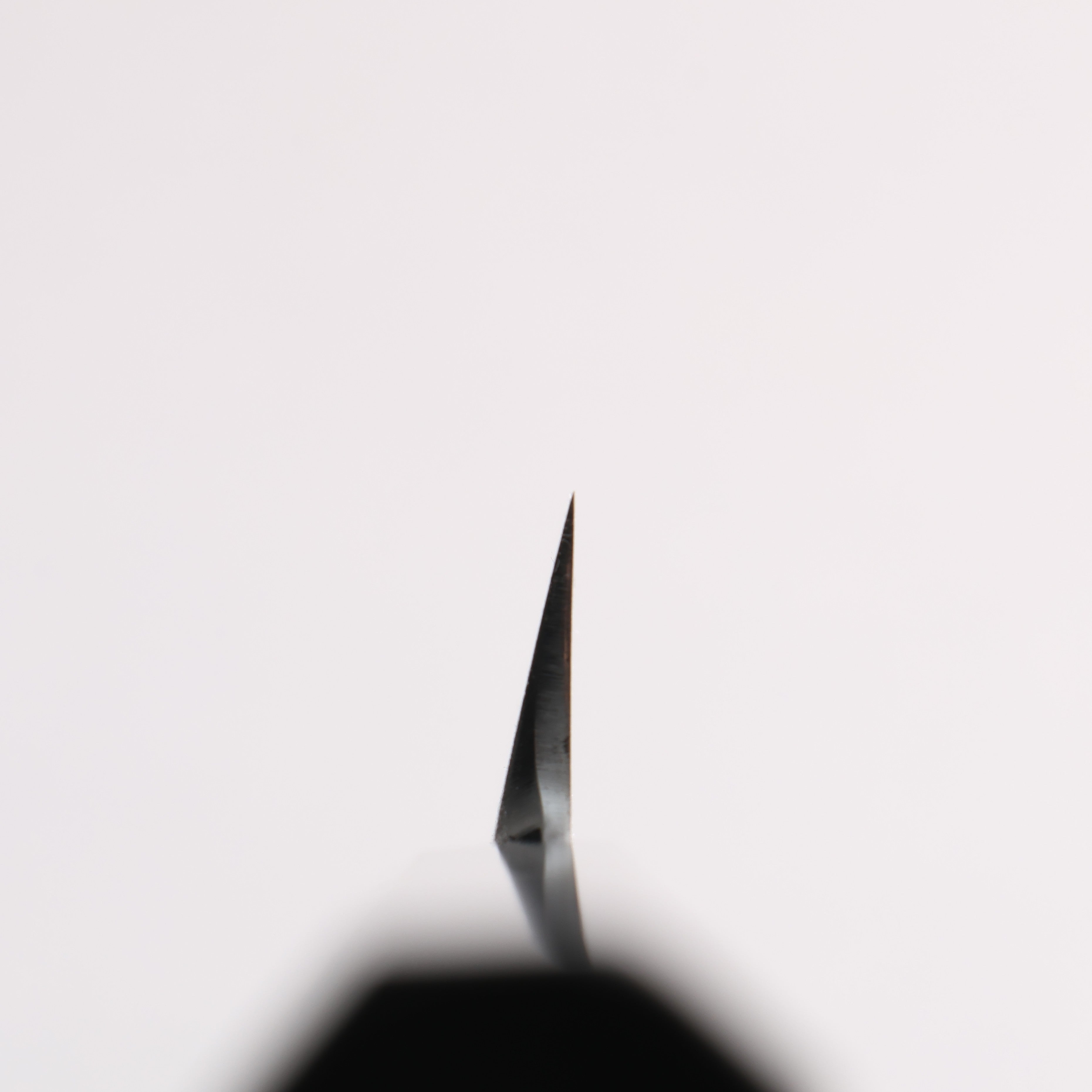 Sakai Takayuki Byakko White Steel No.1 Yanagiba Ebony Wood Handle with Sheath - Japanny - Best Japanese Knife