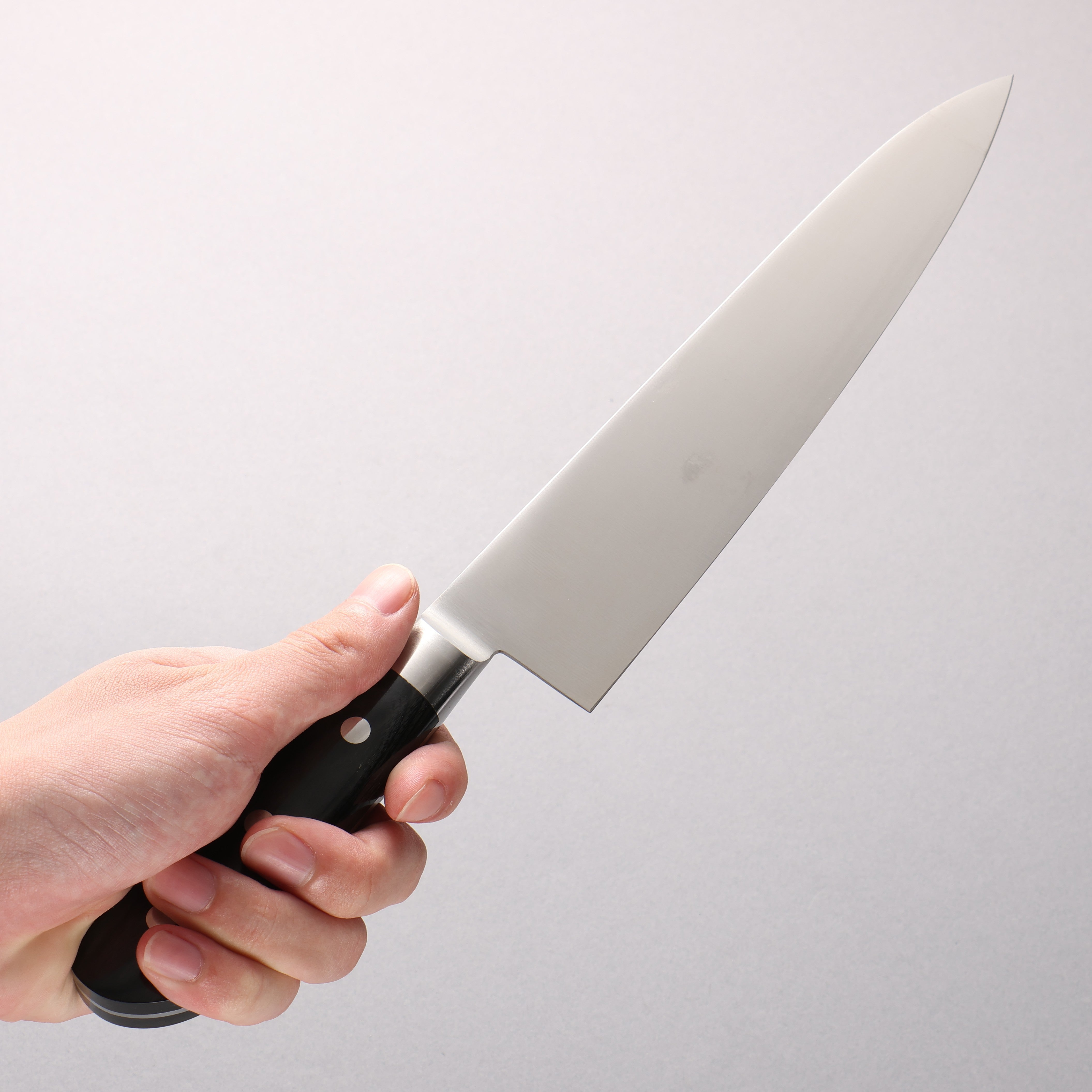 Iseya Molybdenum Gyuto 210mm Black Pakka wood Handle - Japanny - Best Japanese Knife