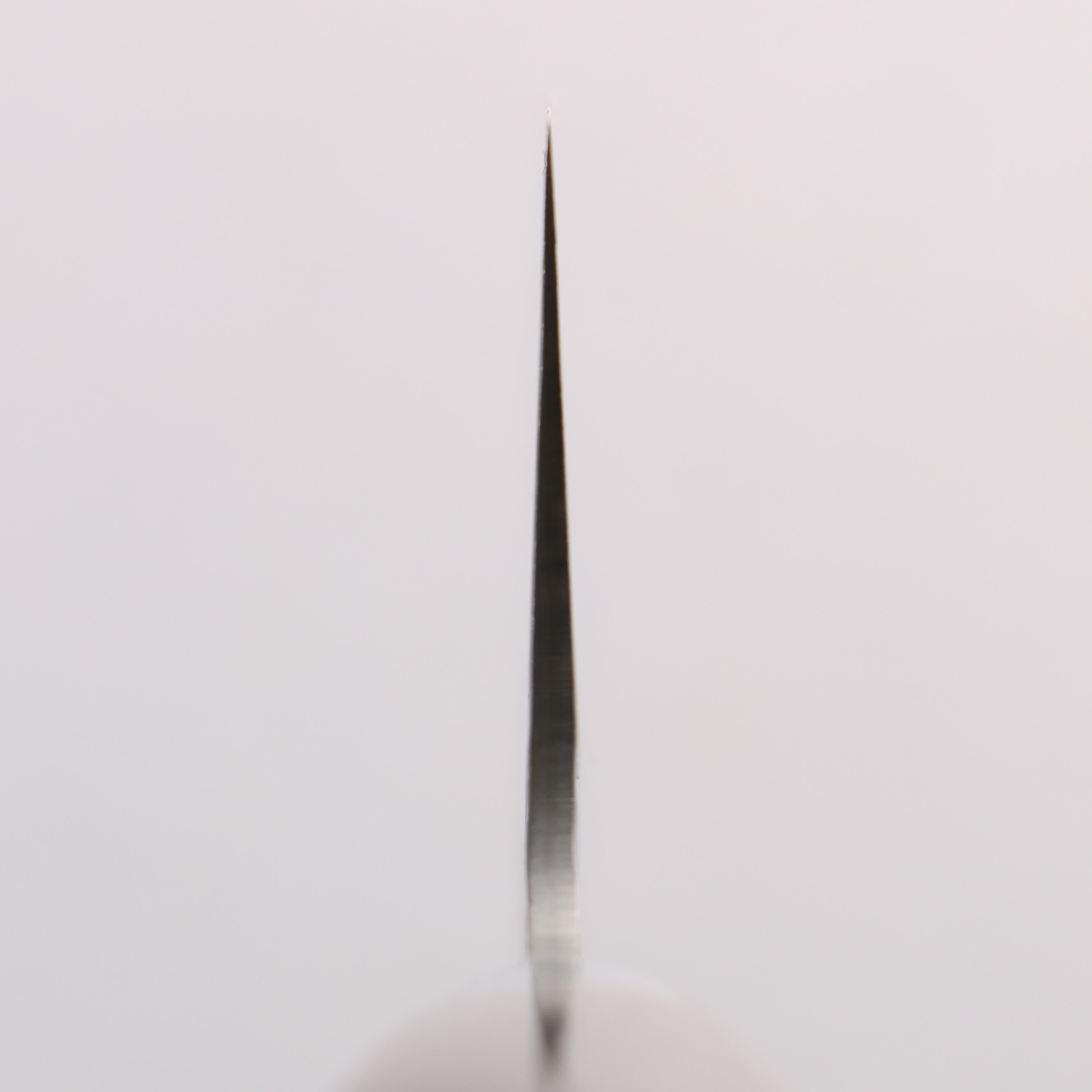 Sakai Takayuki SG2 Hammered Damascus Migaki Finished Gyuto 210mm Rosewood Handle - Japanny - Best Japanese Knife