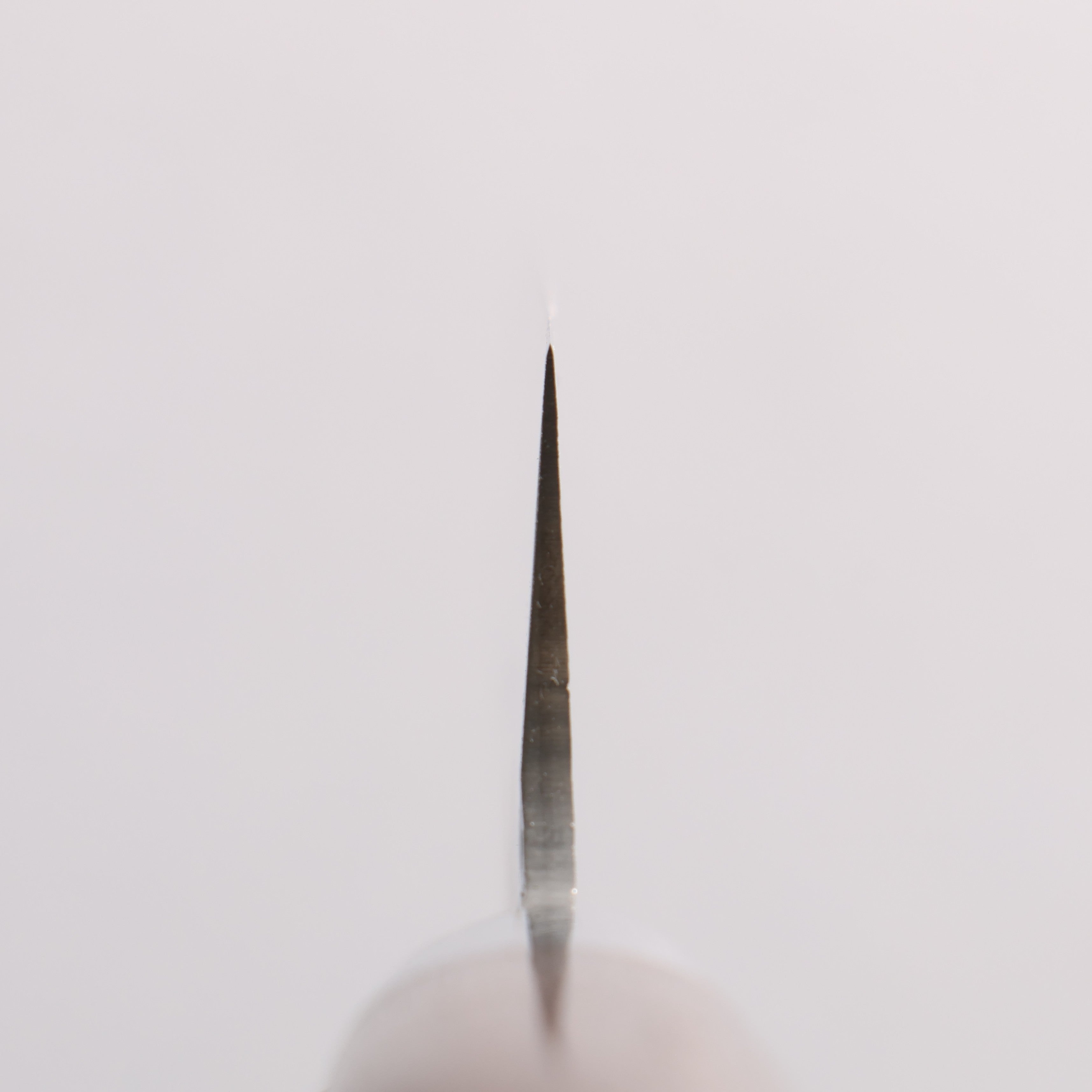 Sakai Takayuki SG2 Hammered Damascus Migaki Finished Sujihiki 240mm Rosewood Handle - Japanny - Best Japanese Knife