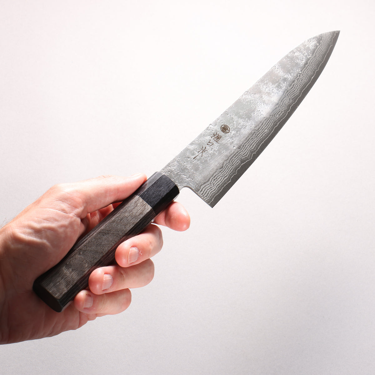 Higuchi VG10 8 Layer Damascus Nashiji Gyuto 210mm Gray Pakka wood Handle - Japanny - Best Japanese Knife