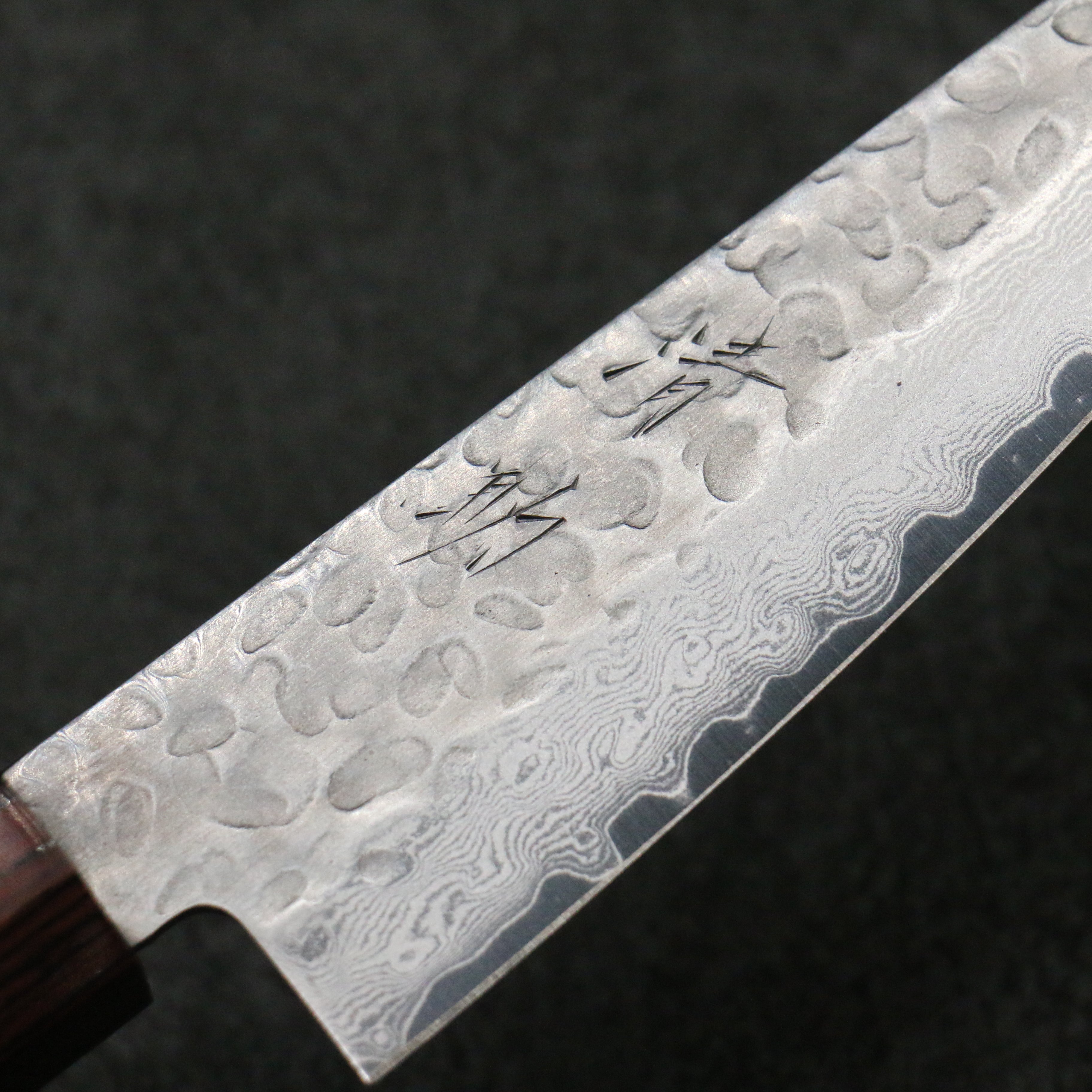 Seisuke VG10 Small Santoku 135mm Black Pakka wood Handle - Japanny - Best Japanese Knife