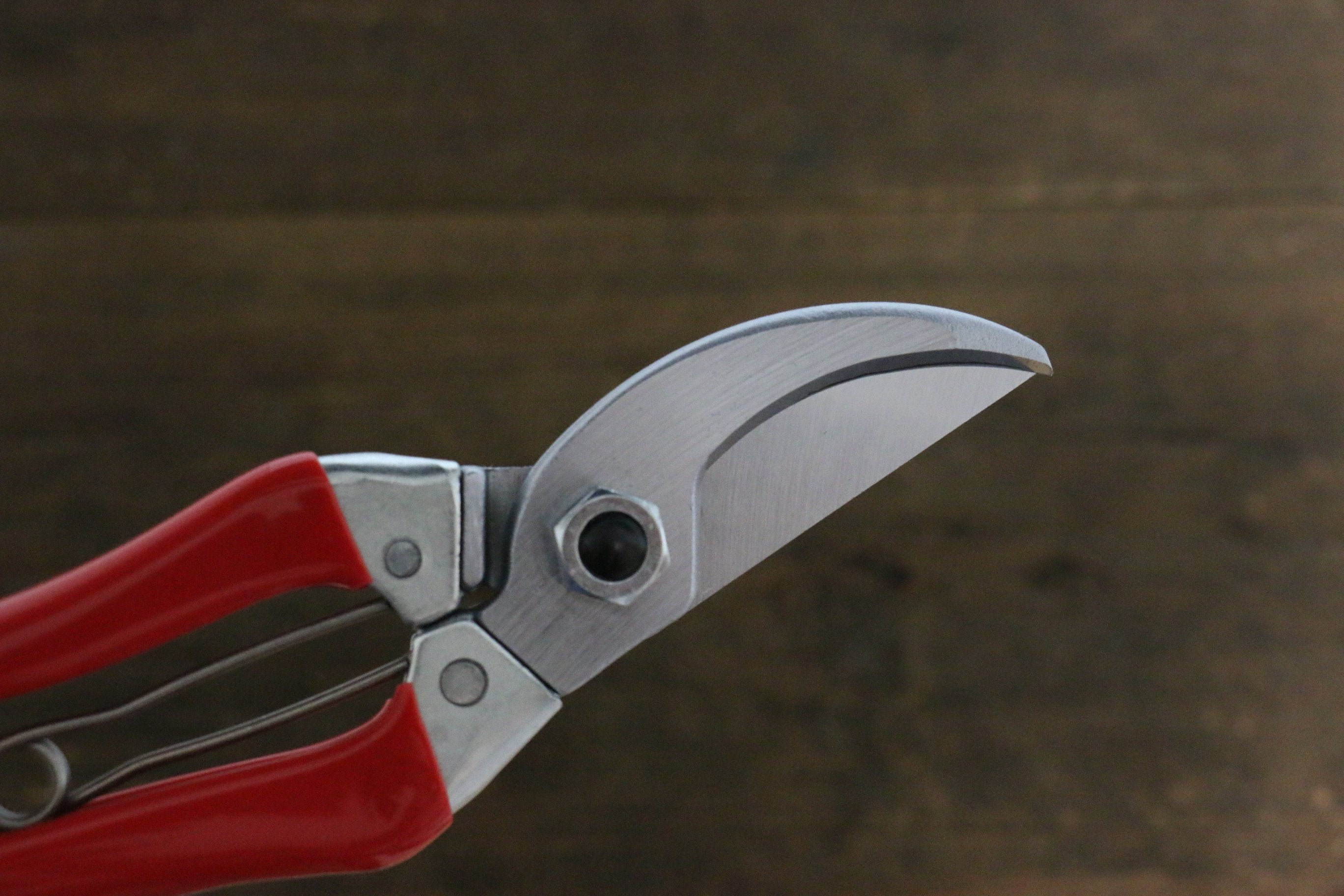 ARS Pruning Shears 120S-8 - Japanny - Best Japanese Knife