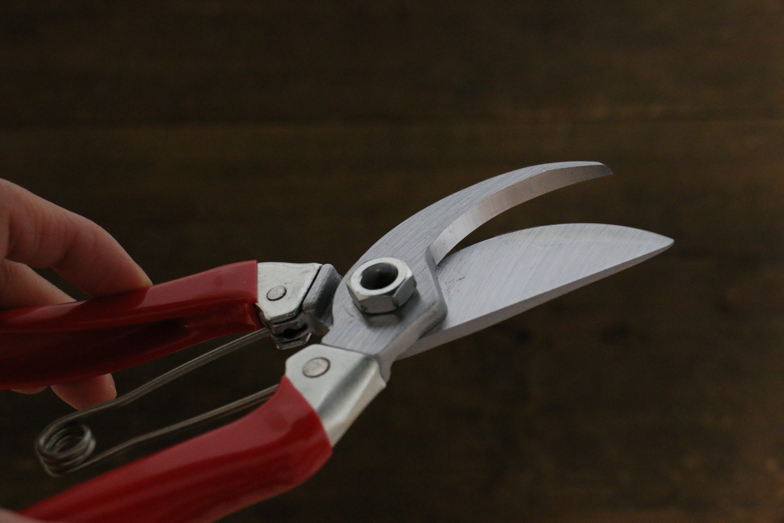 ARS Pruning Shears 120S-8 - Japanny - Best Japanese Knife