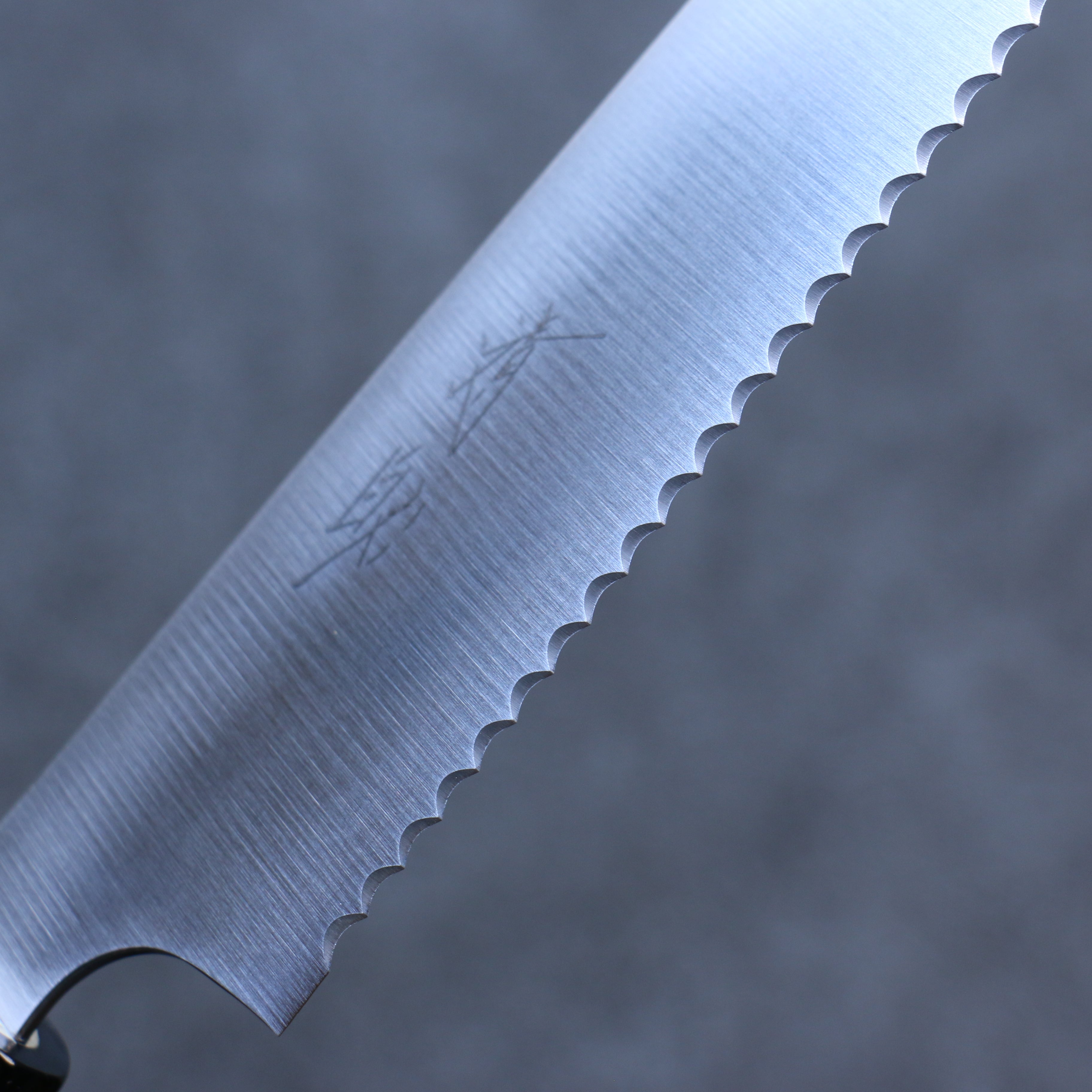 Seisuke Stainless Steel Bread Slicer 240mm Magnolia Handle - Japanny - Best Japanese Knife