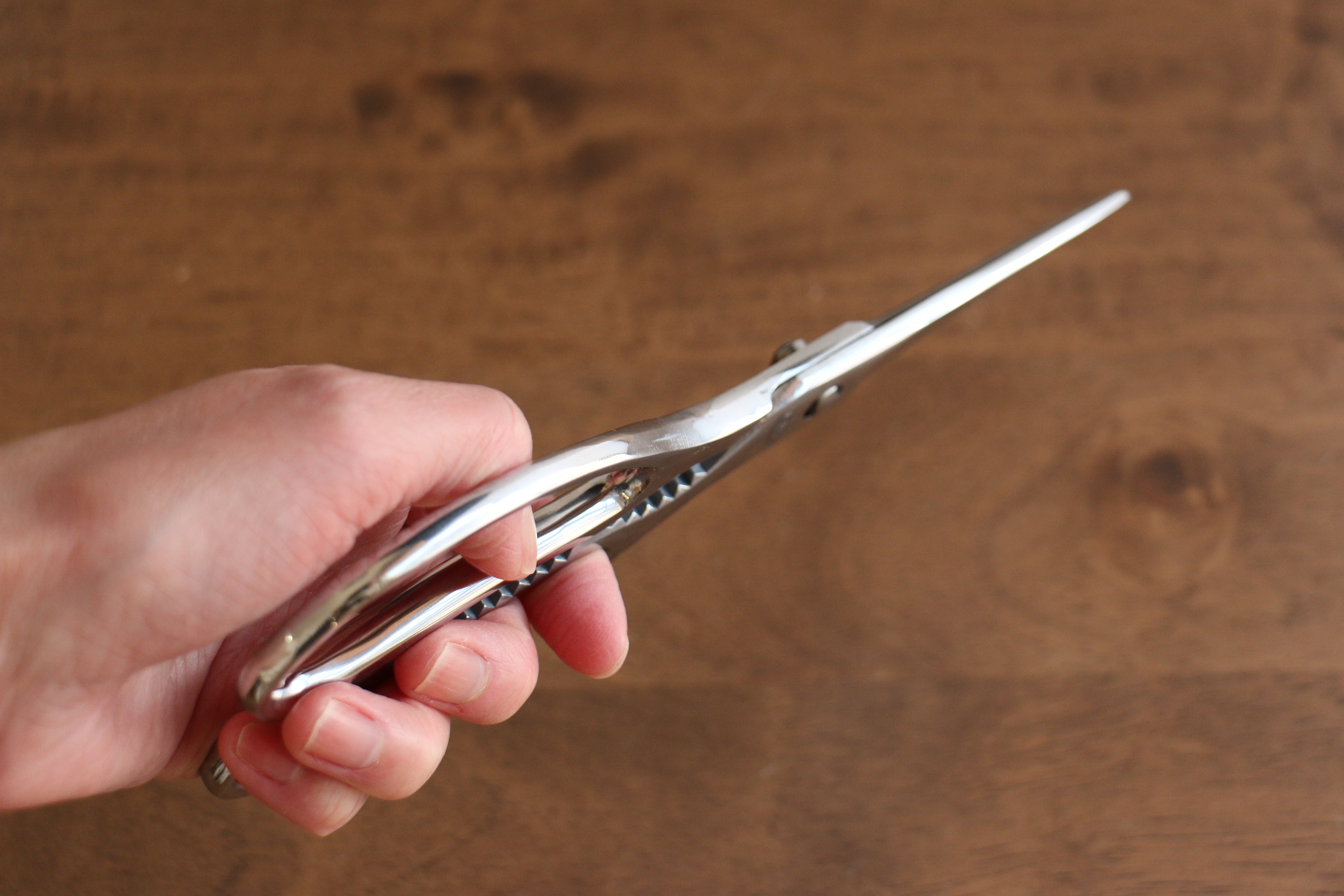 New Kokkusan Stainless Steel Kitchen Scissors - Japanny - Best Japanese Knife