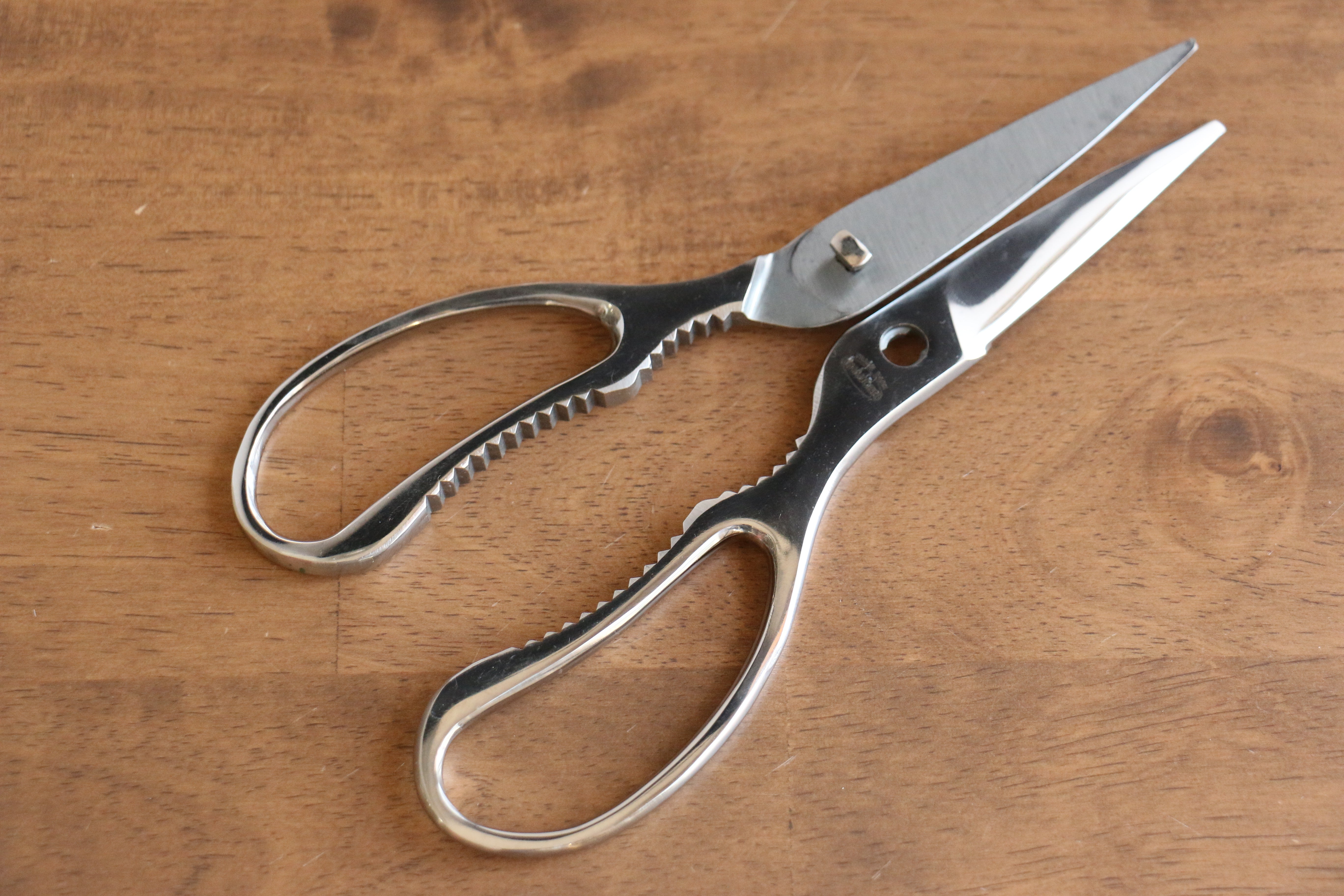New Kokkusan Stainless Steel Kitchen Scissors - Japanny - Best Japanese Knife