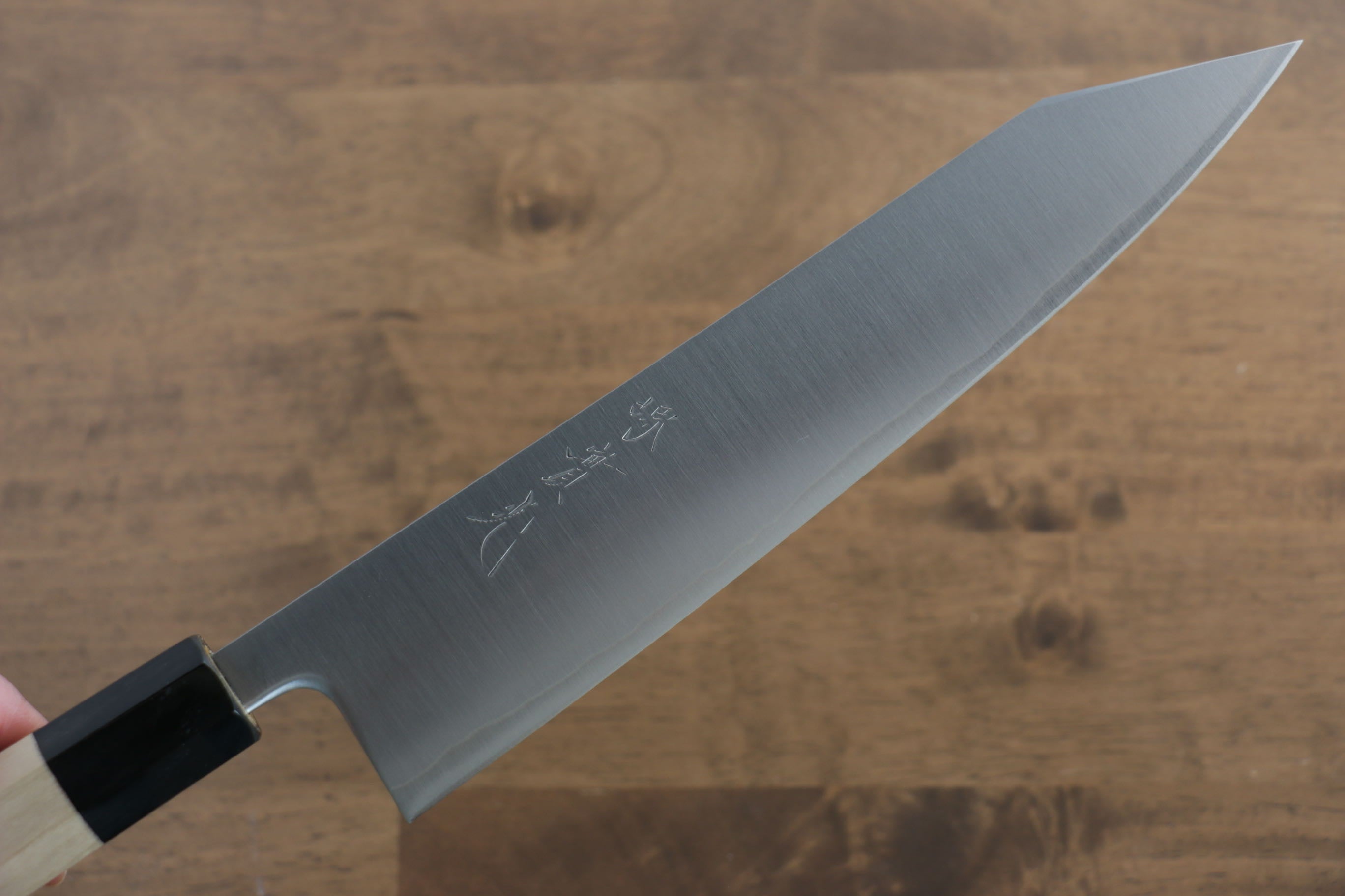 Jikko SG2 Kiritsuke Gyuto 230mm Magnolia Handle - Japanny - Best Japanese Knife