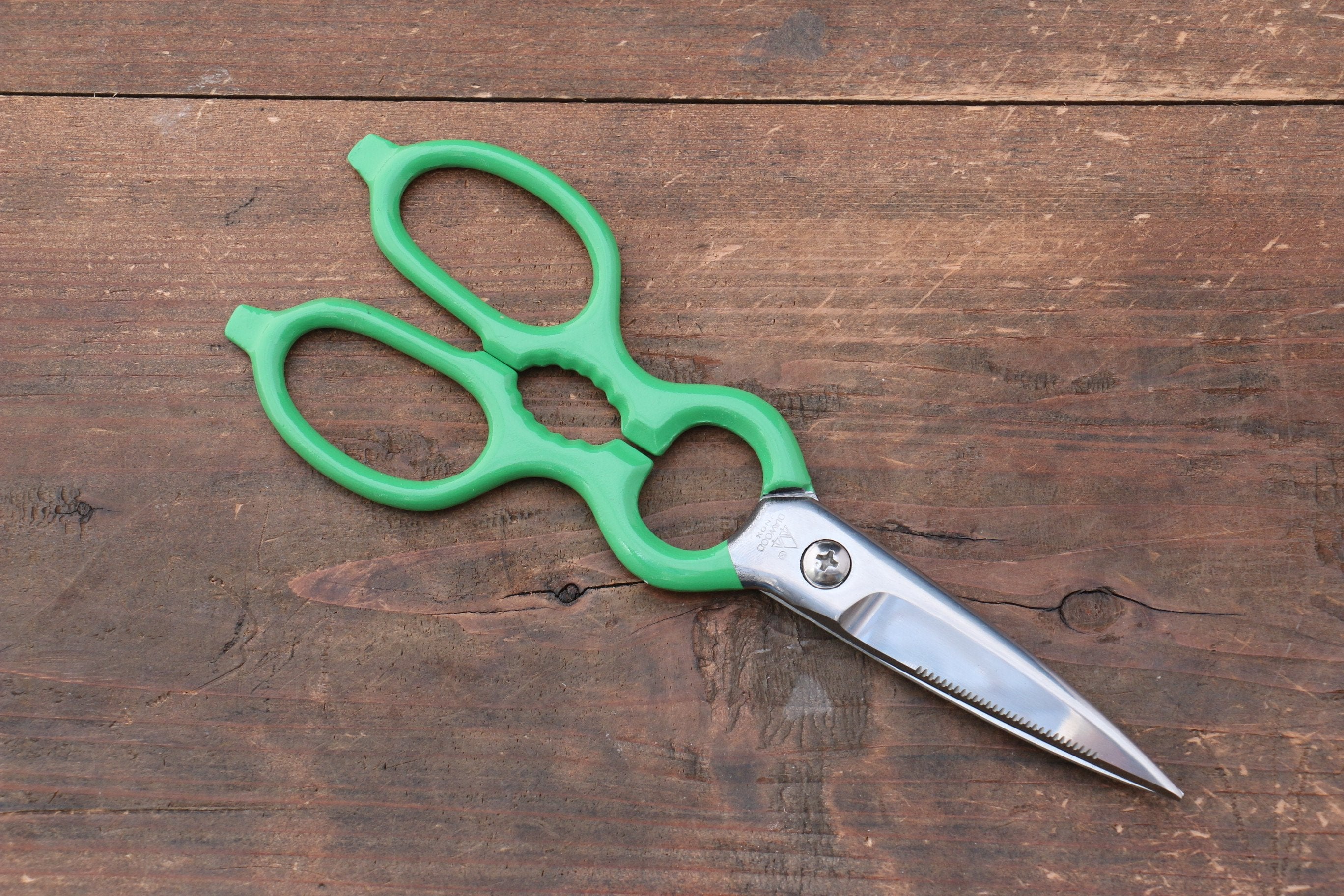 MT Stainless Steel Scissors - Japanny - Best Japanese Knife
