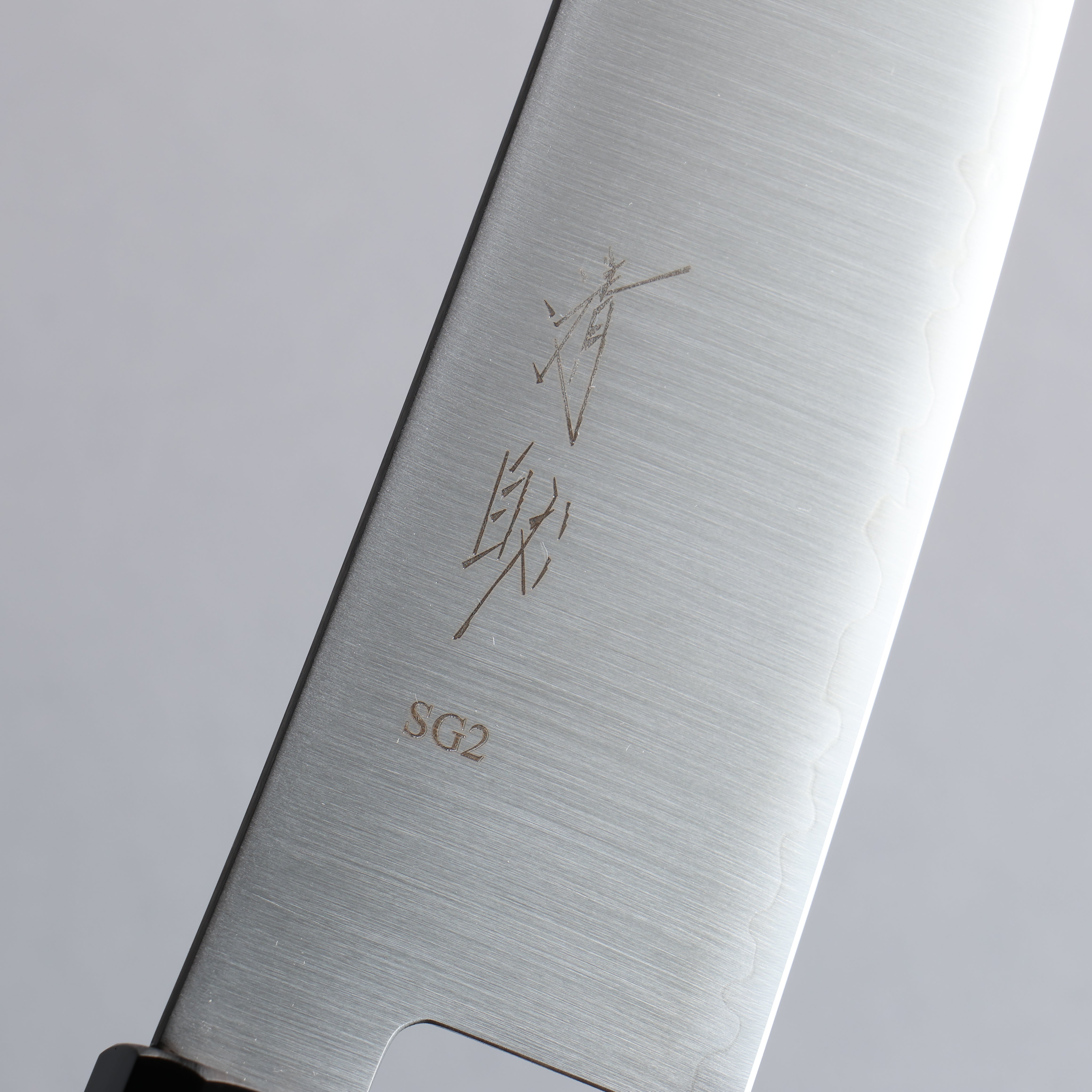 Seisuke SG2 Gyuto  210mm Wenge Handle - Japanny - Best Japanese Knife