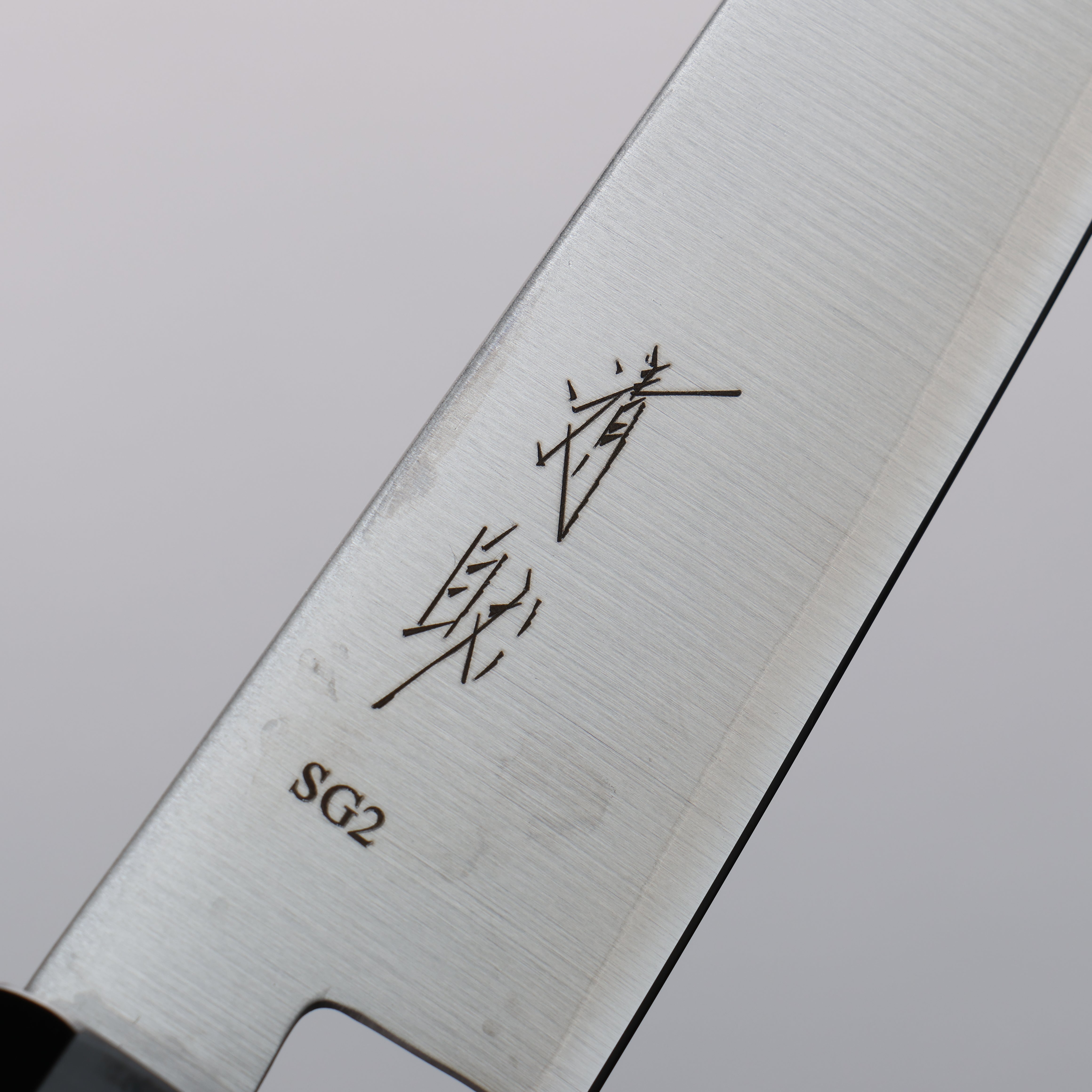 Seisuke SG2 Kiritsuke Petty-Utility  150mm Wenge Handle - Japanny - Best Japanese Knife