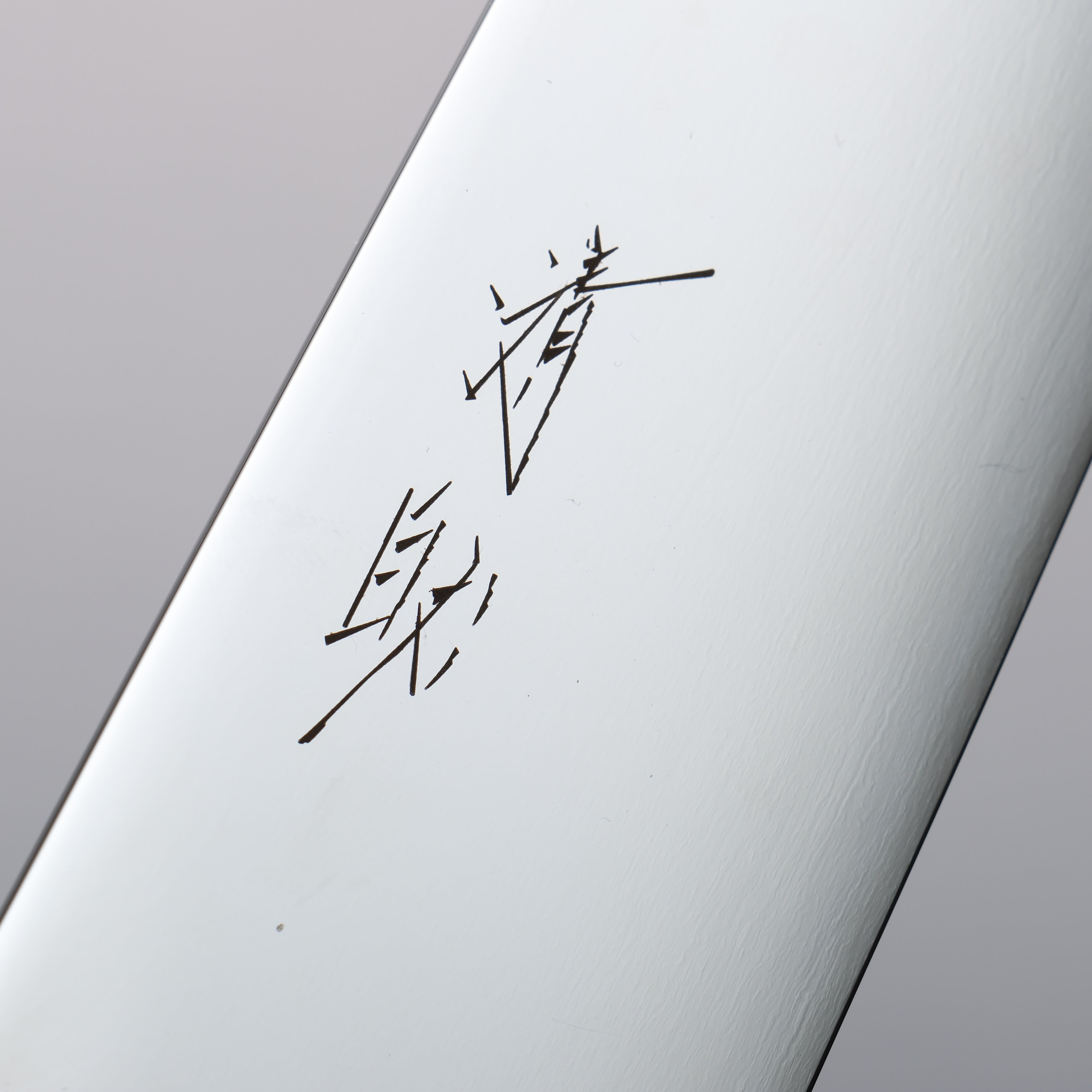 Seisuke VG10 Mirrored Finish Sujihiki  300mm Stabilized wood Handle - Japanny - Best Japanese Knife