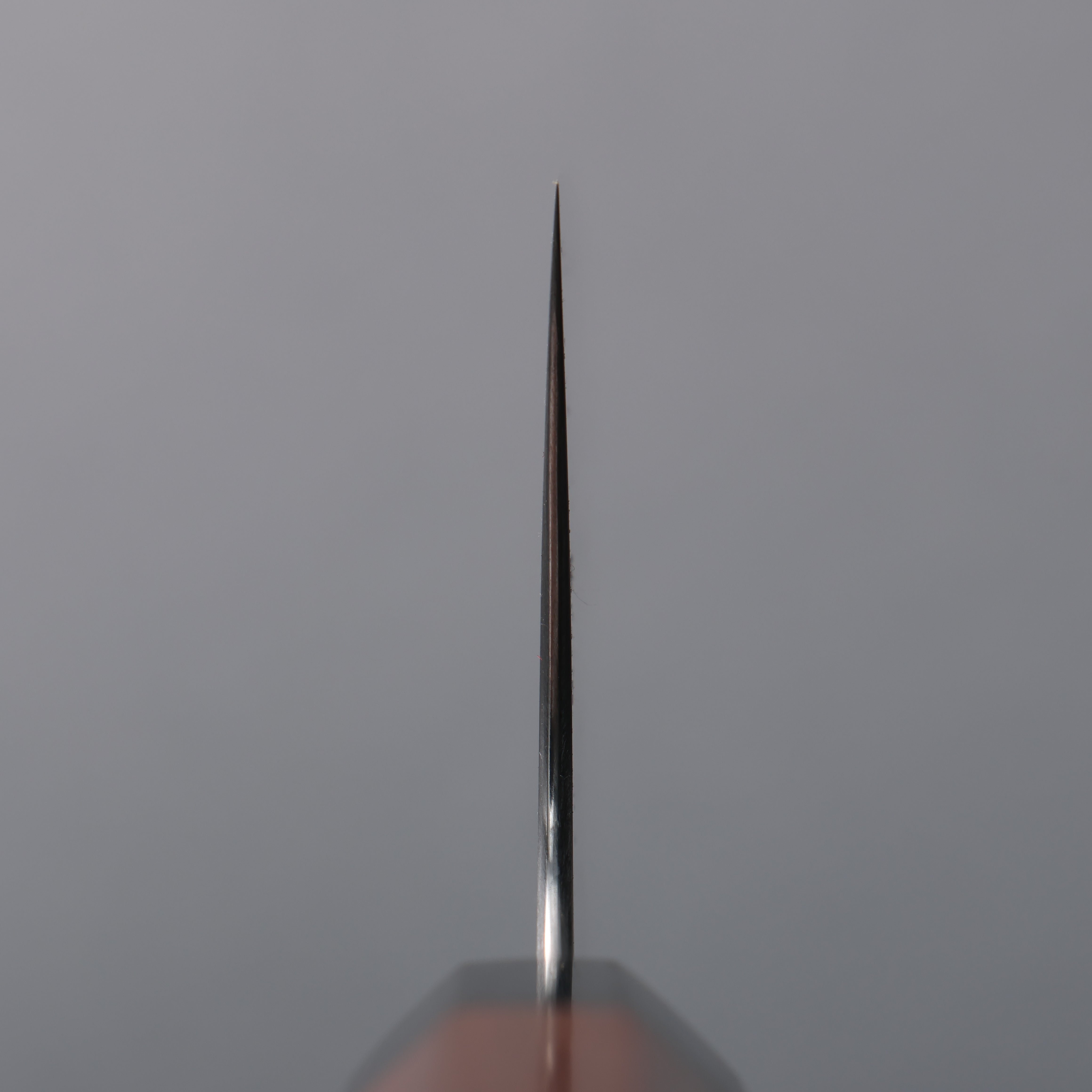 Shibata Takayuki Koutetsu Blue Super Nakiri  165mm Jarrah Handle - Japanny - Best Japanese Knife