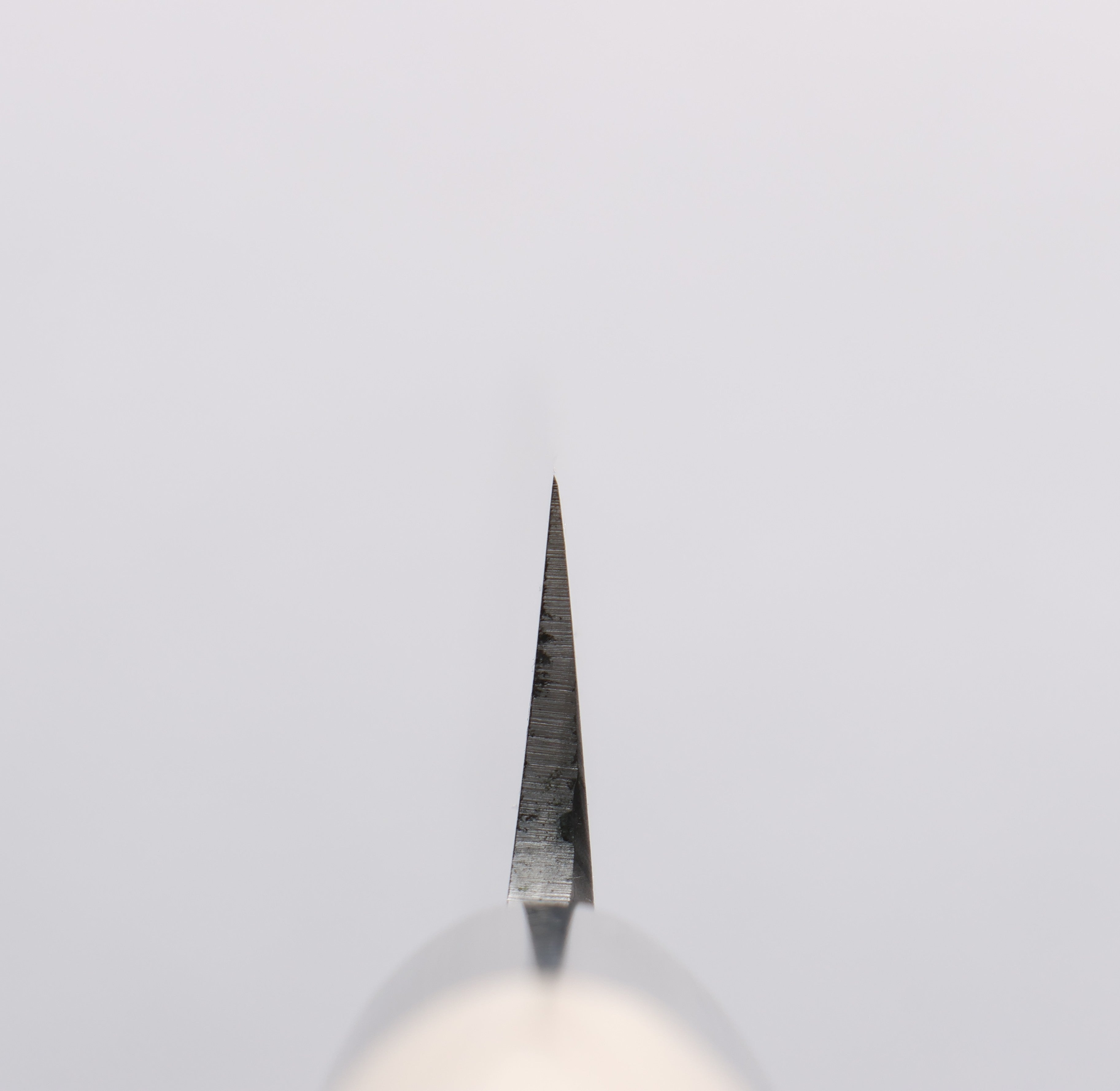 Sakai Takayuki [Left Handed] INOX Yanagiba Magnolia Handle - Japanny - Best Japanese Knife