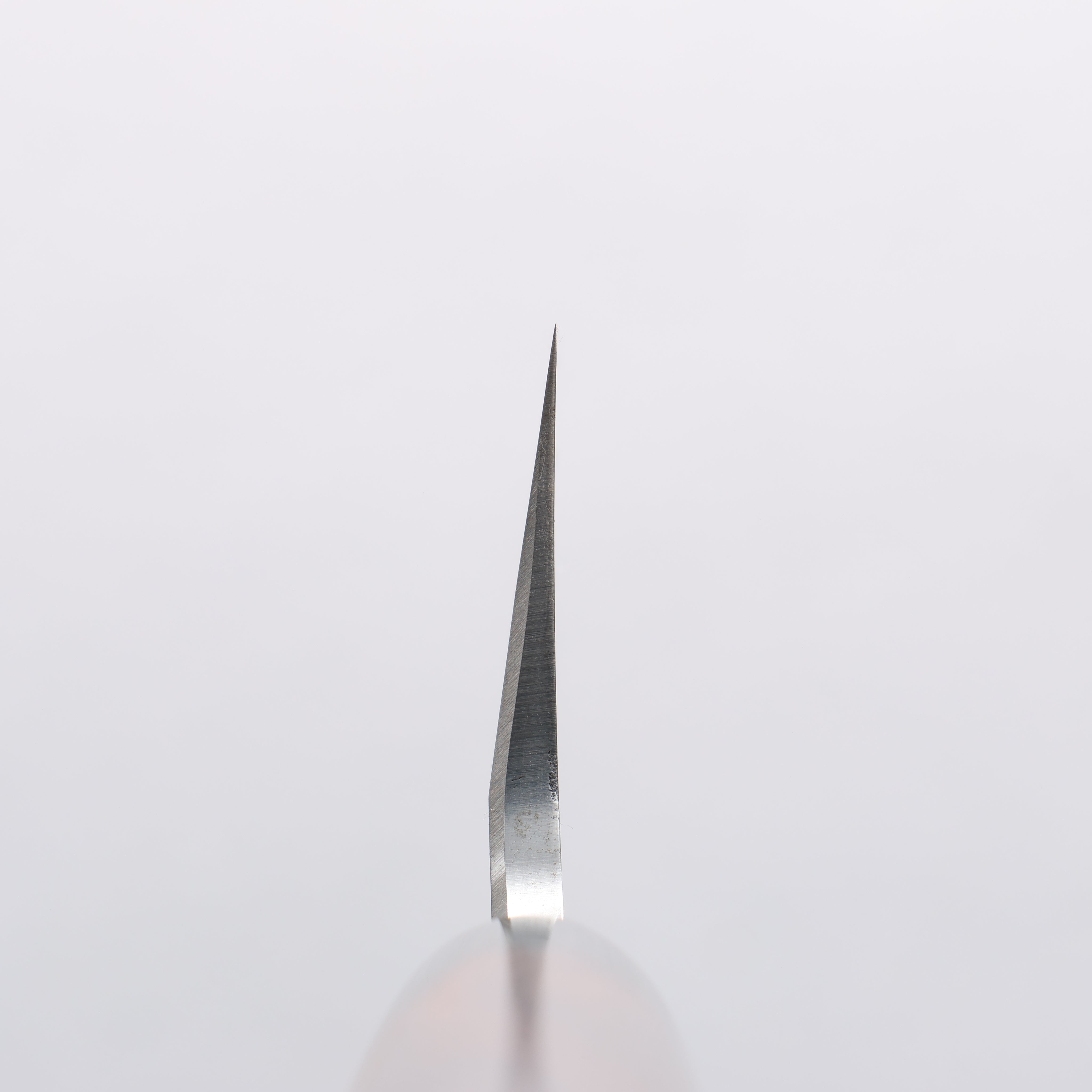 Jikko White Steel No.2 Usuba 210mm Shitan Handle - Japanny - Best Japanese Knife