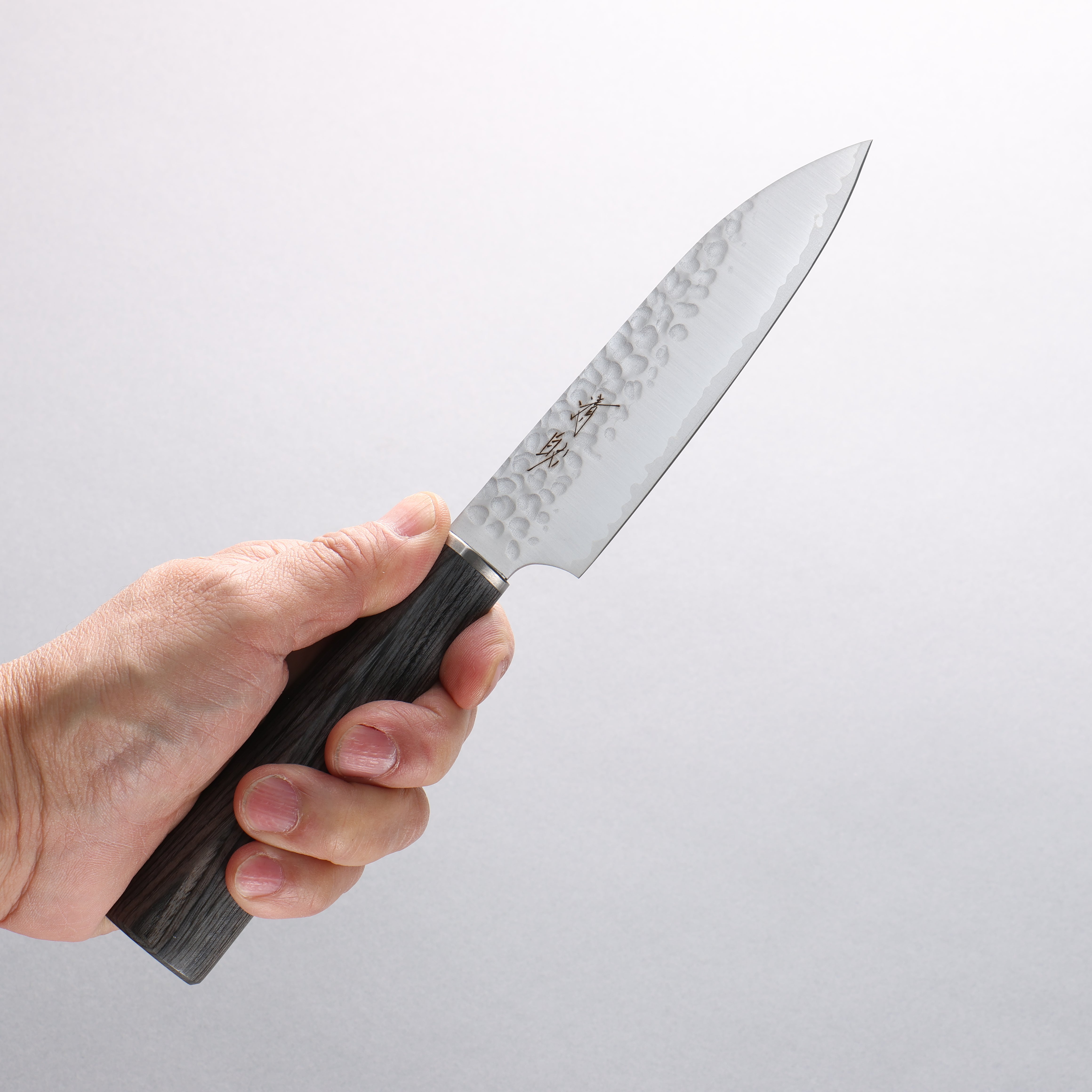 Seisuke VG10 Hammered Petty-Utility 120mm Charcoal Gray Pakka wood Handle - Japanny - Best Japanese Knife