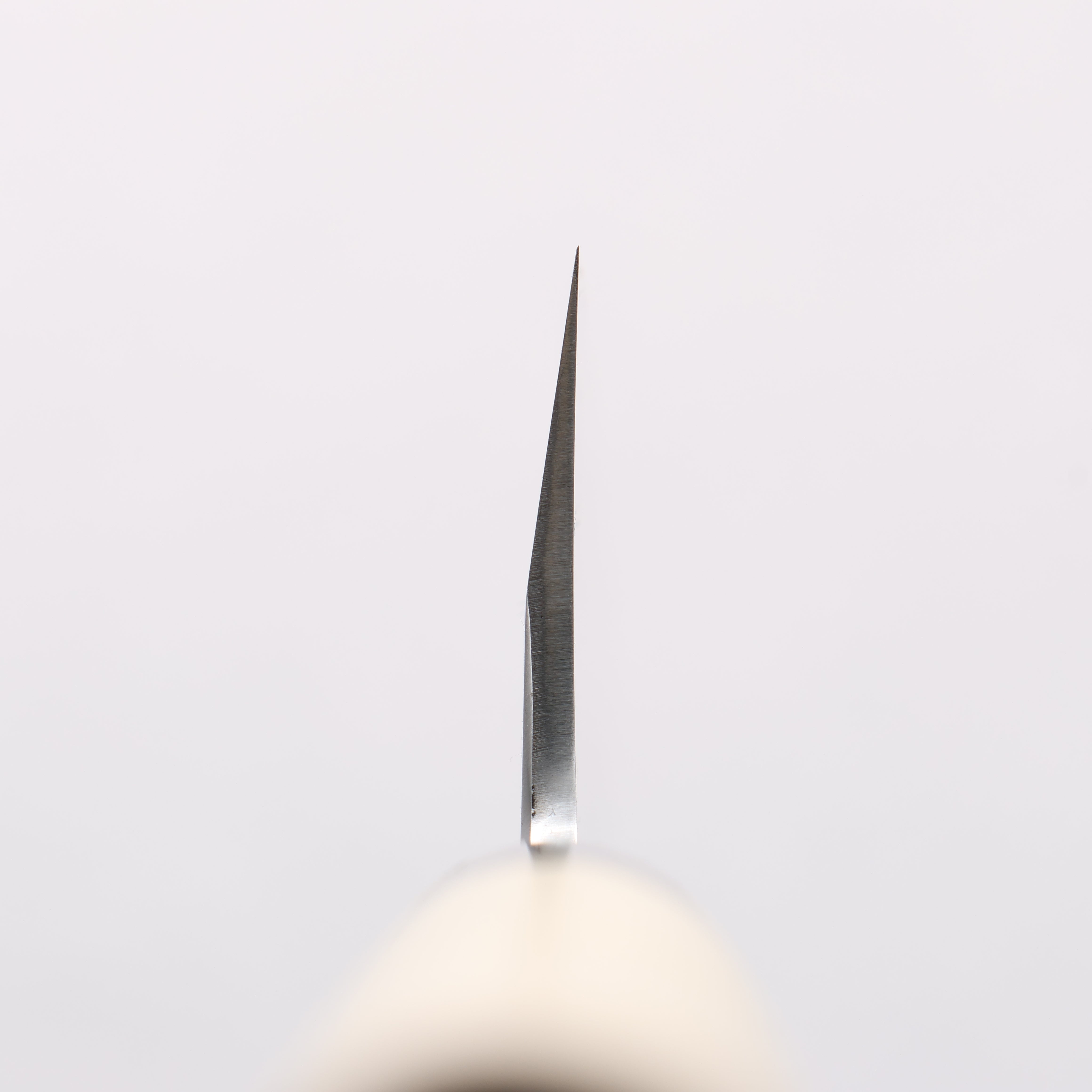 Sakai Takayuki Tokujyo White Steel No.2 Gyuto 210mm Magnolia Handle - Japanny - Best Japanese Knife
