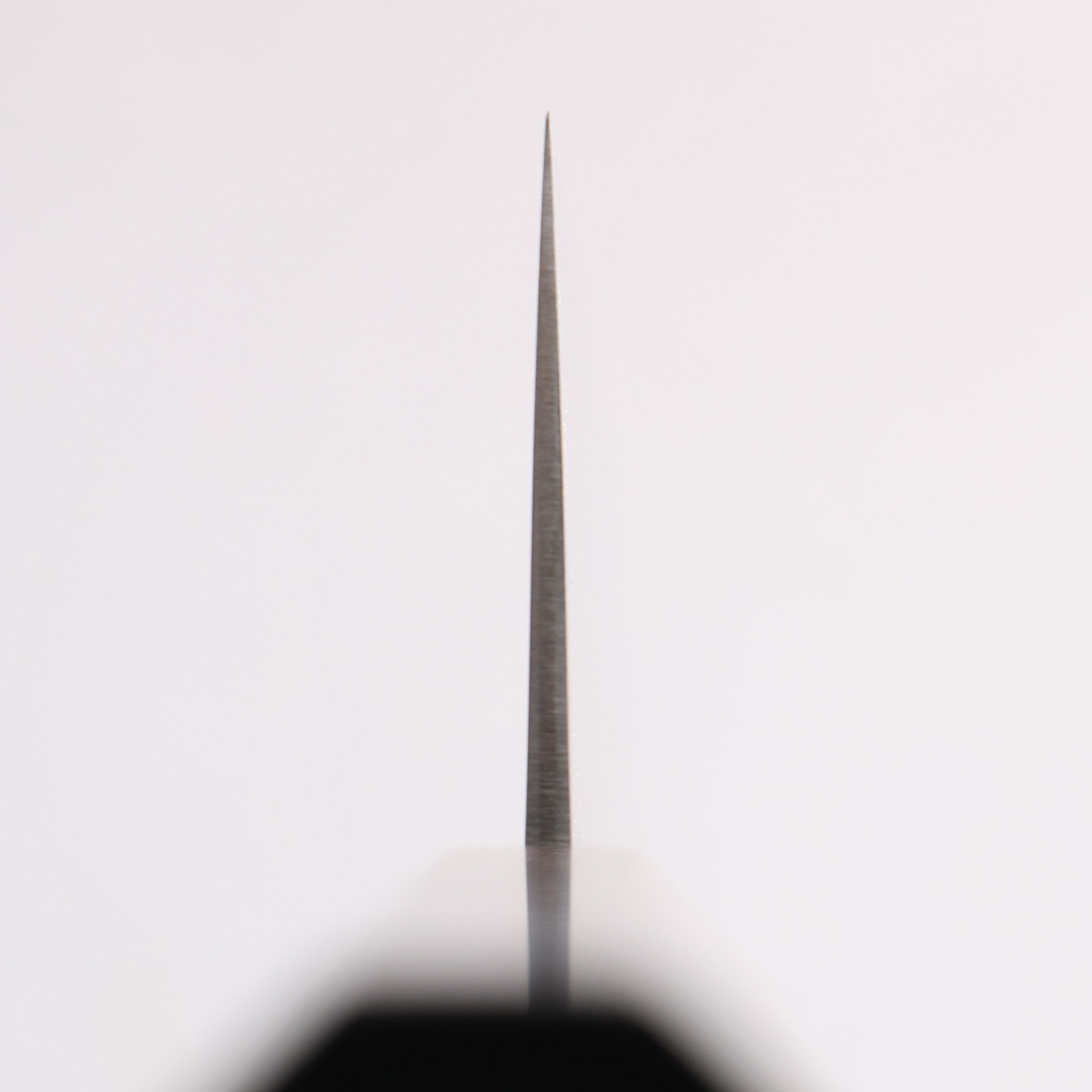 Seisuke SG2 Gyuto 270mm Ebony Wood Handle - Japanny - Best Japanese Knife