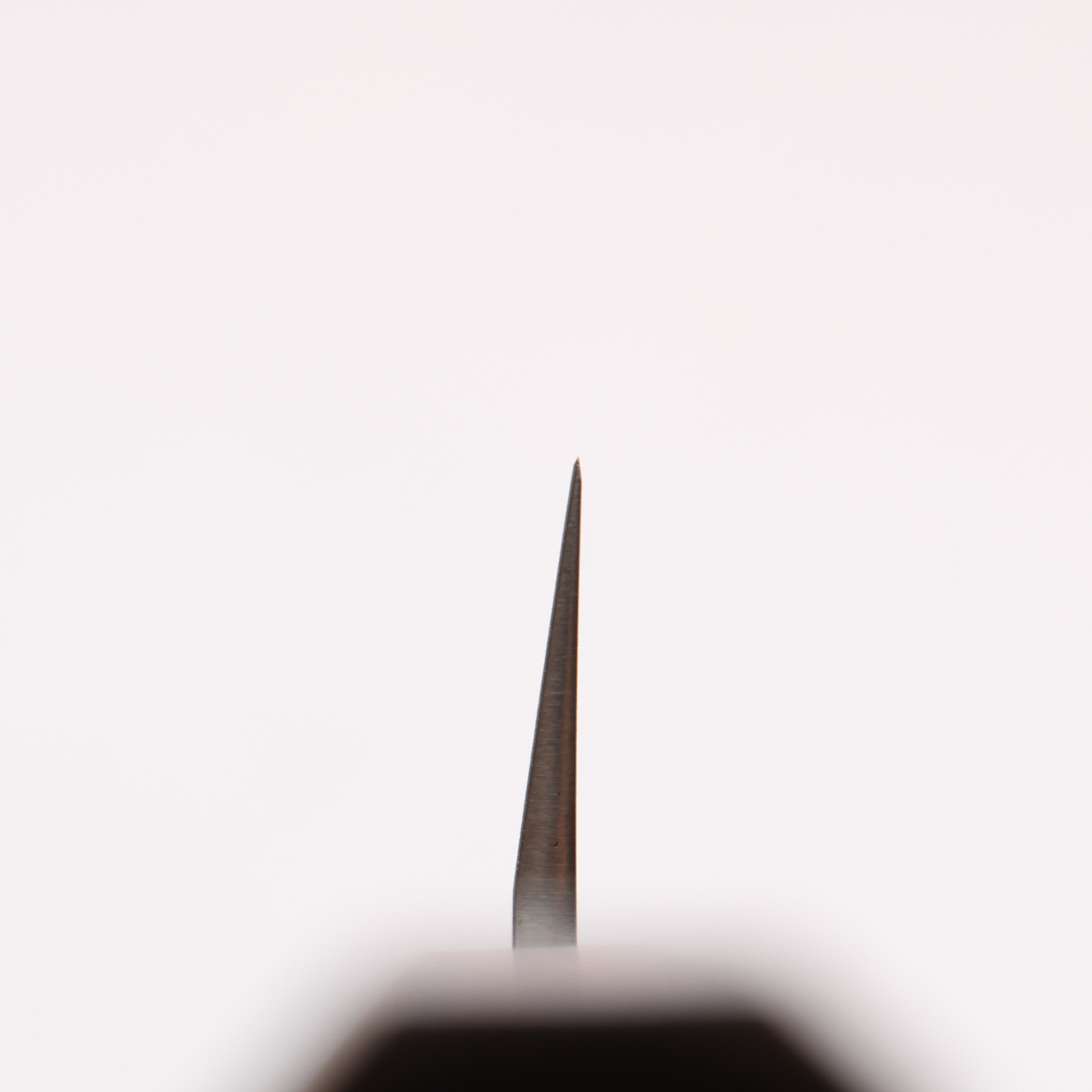 Seisuke AUS8 Yanagiba 300mm Oak Handle - Japanny - Best Japanese Knife