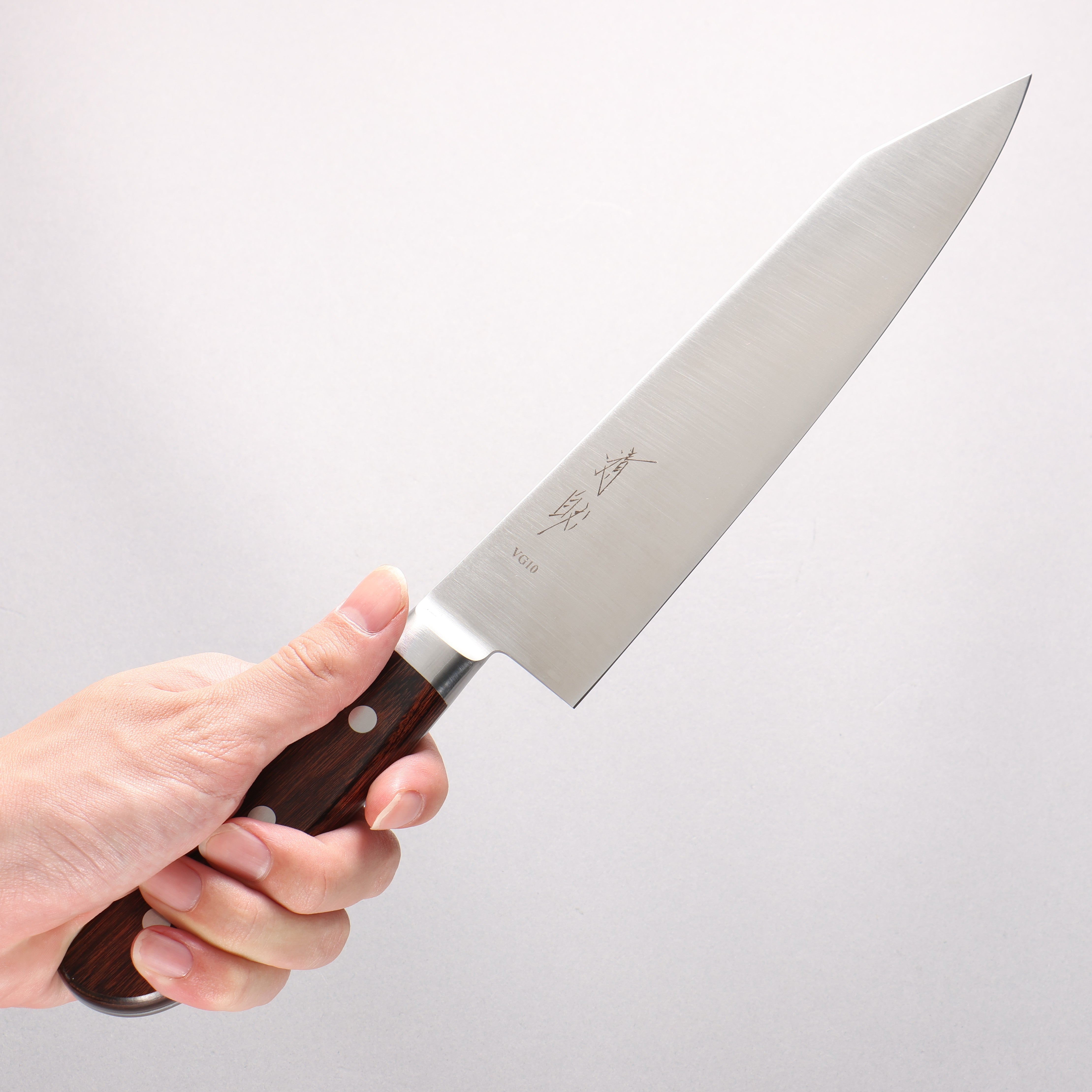 Seisuke VG10 Kiritsuke Gyuto 210mm Mahogany Handle - Japanny - Best Japanese Knife