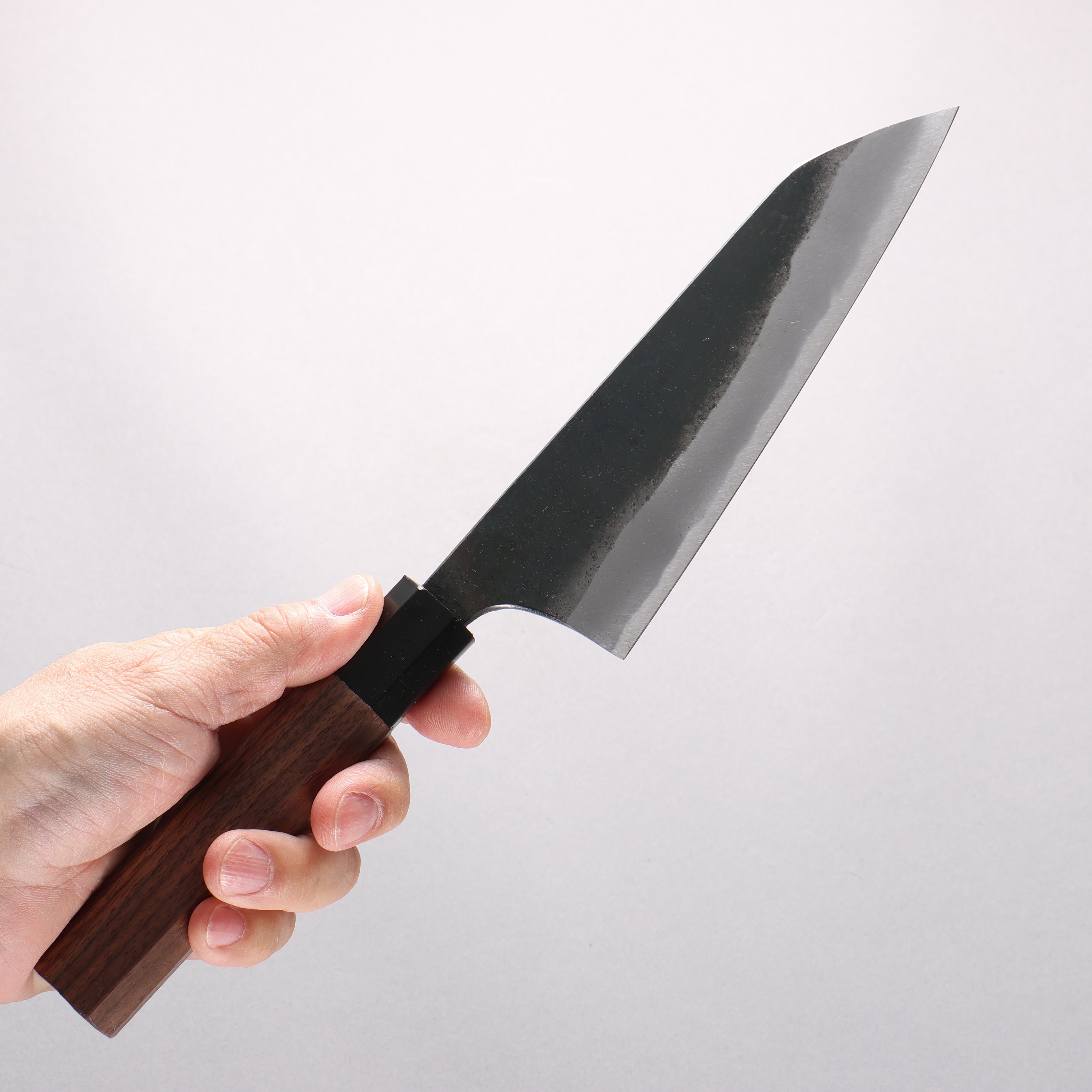 Daisuke Nishida Koharu White Steel No.1 Black Finished Gyuto 165mm Walnut Handle - Japanny - Best Japanese Knife