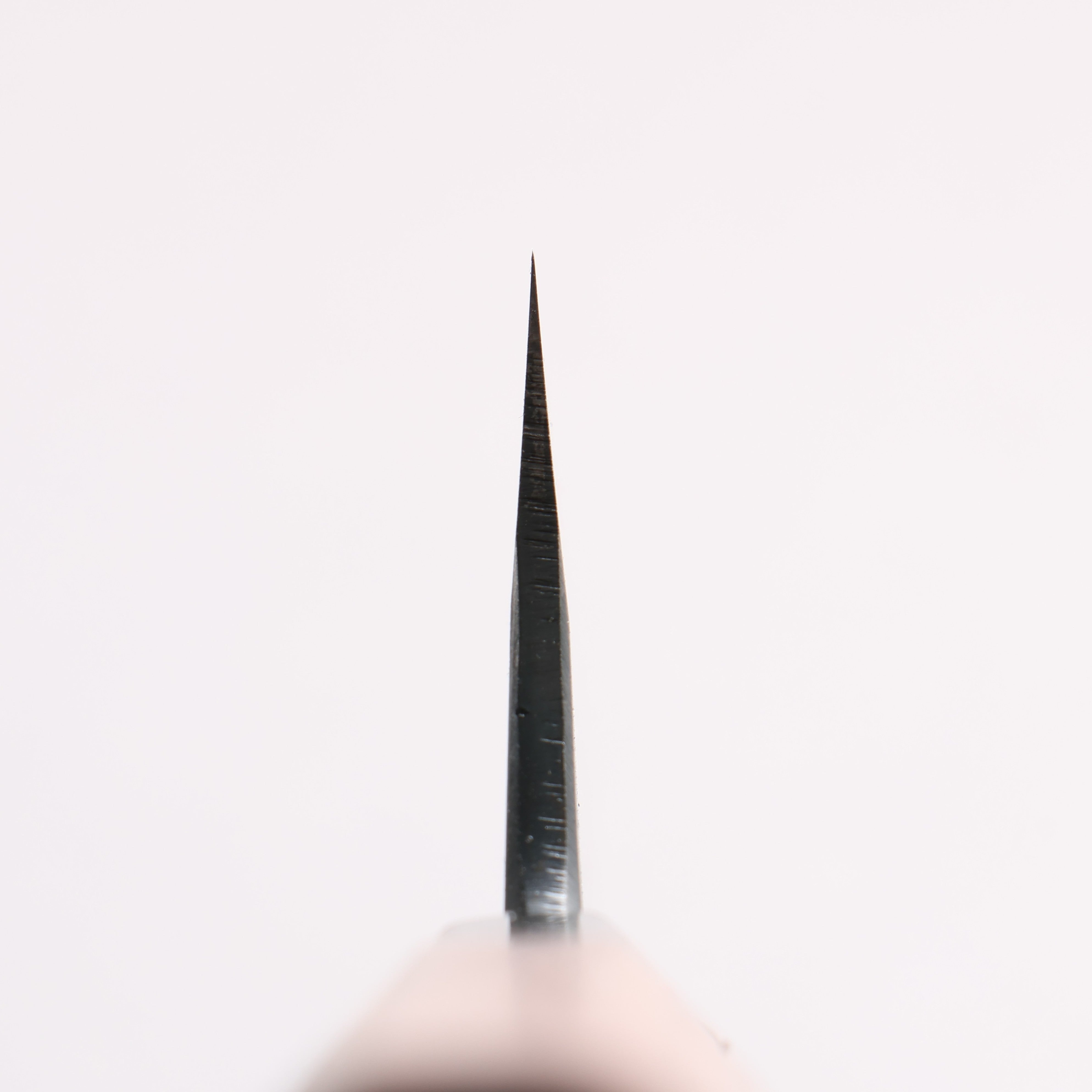 Daisuke Nishida Koharu White Steel No.1 Black Finished Gyuto 165mm Walnut Handle - Japanny - Best Japanese Knife