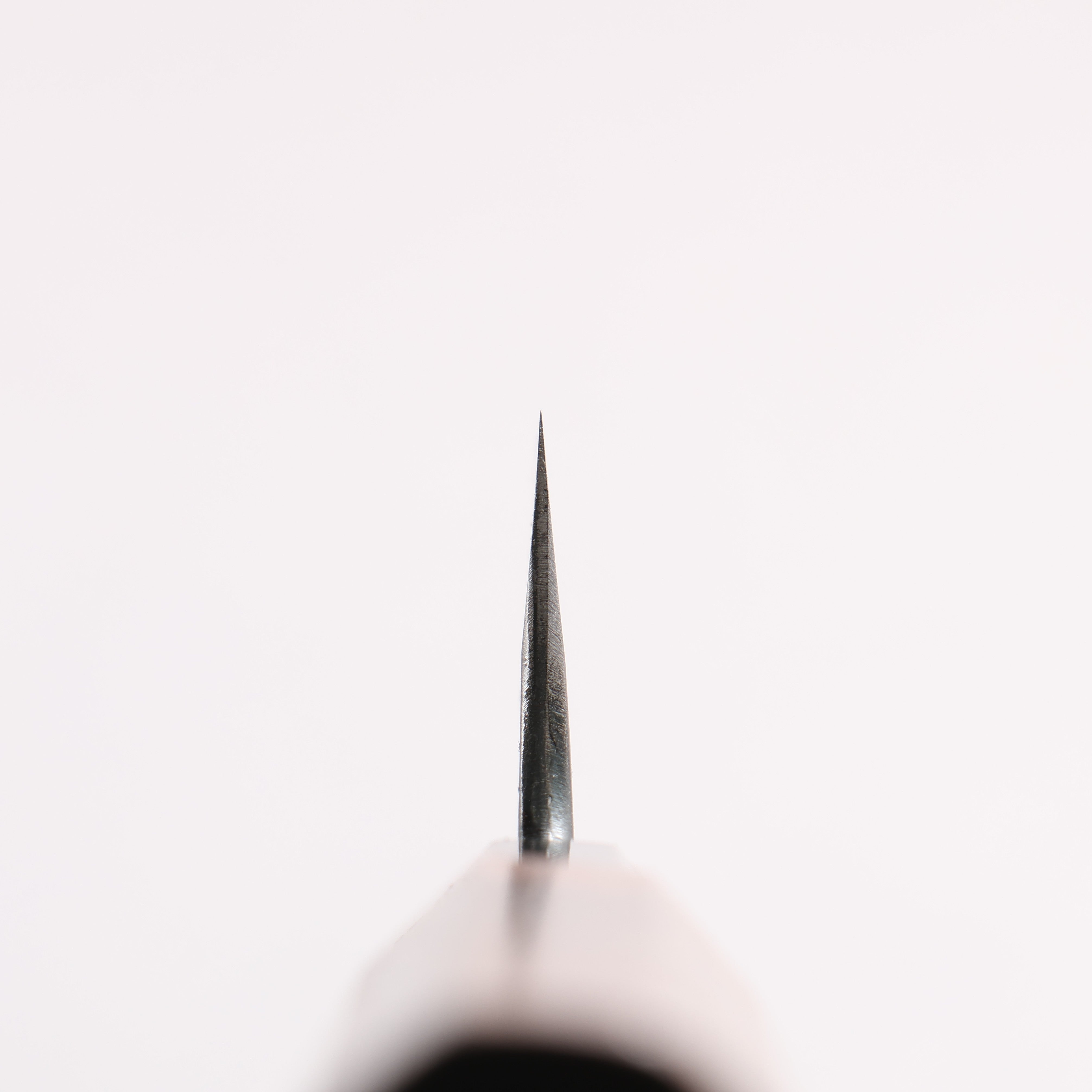 Daisuke Nishida Koharu White Steel No.1 Black Finished Petty-Utility 100mm Walnut Handle - Japanny - Best Japanese Knife