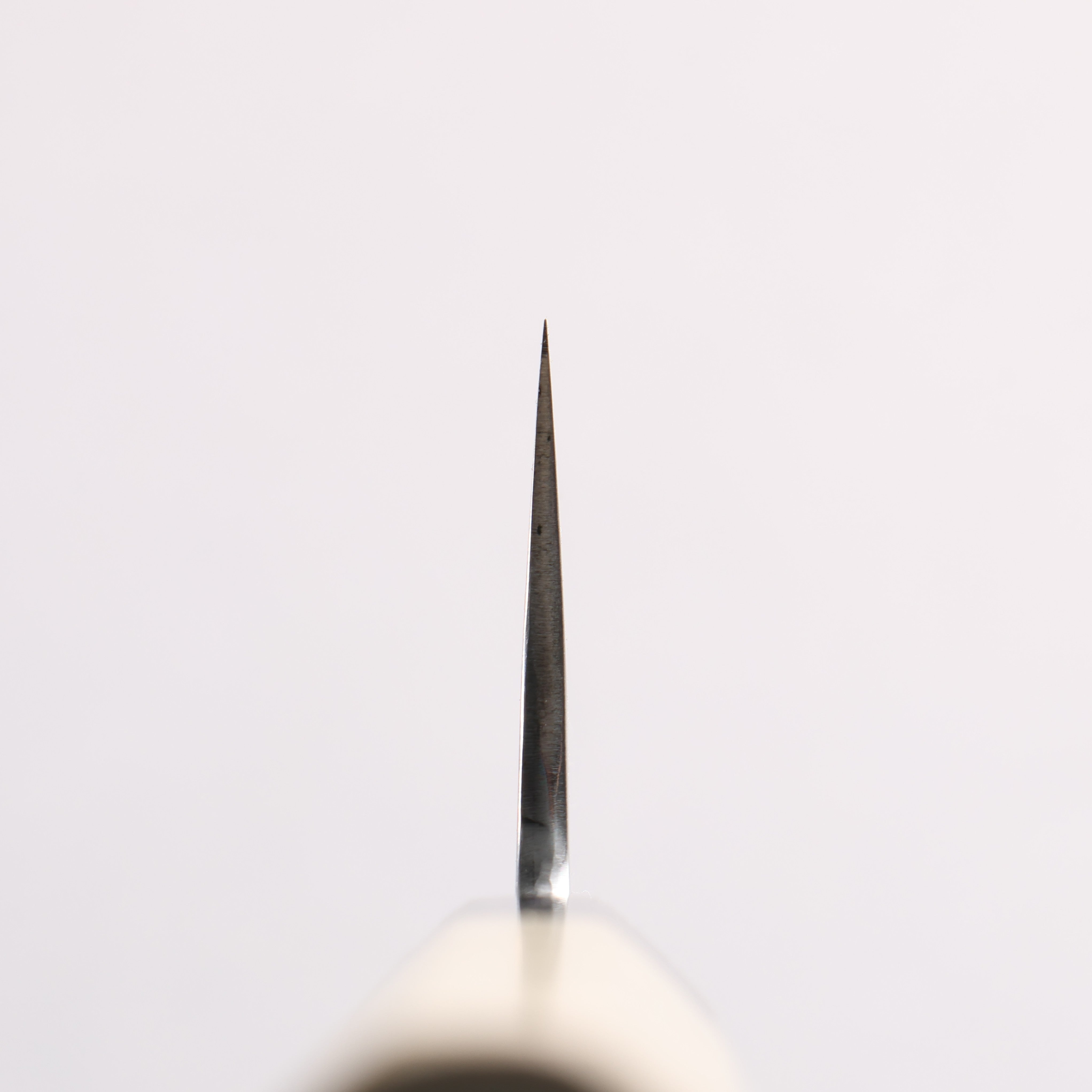 Sakai Kikumori White Steel No.1 Gyuto 240mm Magnolia (Ferrule: Water Buffalo Horn) Handle - Japanny - Best Japanese Knife