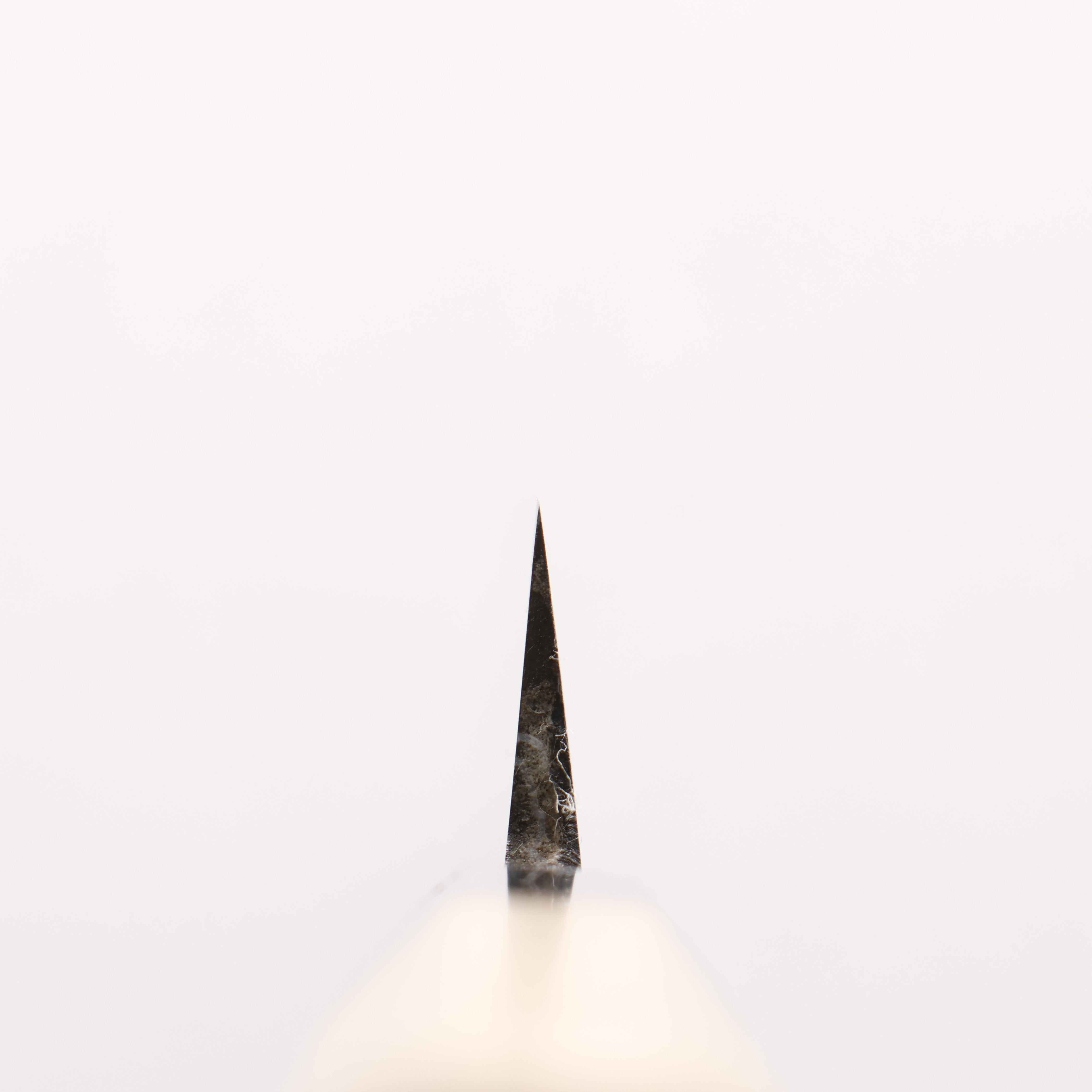 Seisuke [Left Handed] White Steel No.2 Kasumitogi Yanagiba - Japanny - Best Japanese Knife