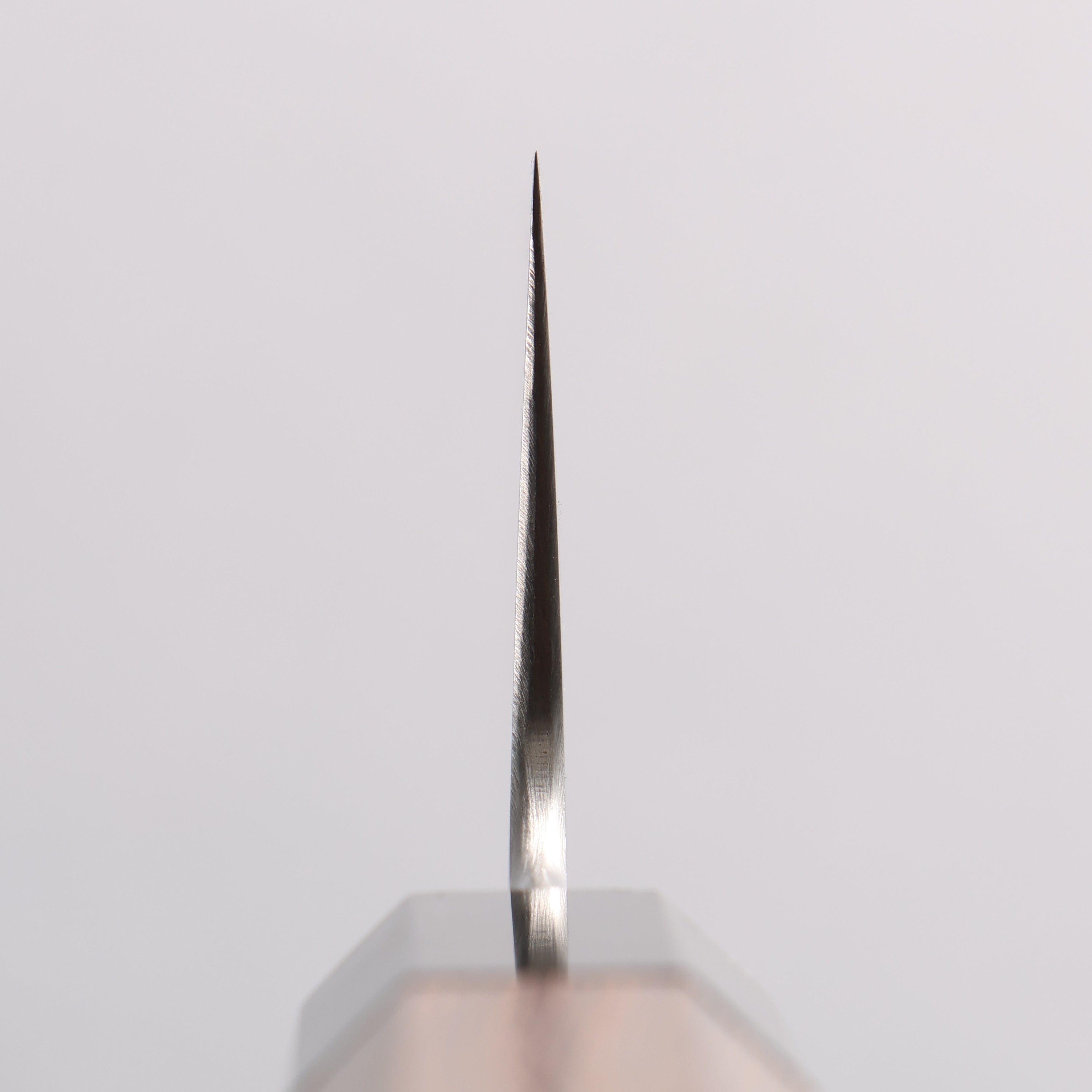 Sukenari SG2 Gyuto 210mm Wenge (ferrule: Black Buffalo Horn) Handle - Japanny - Best Japanese Knife
