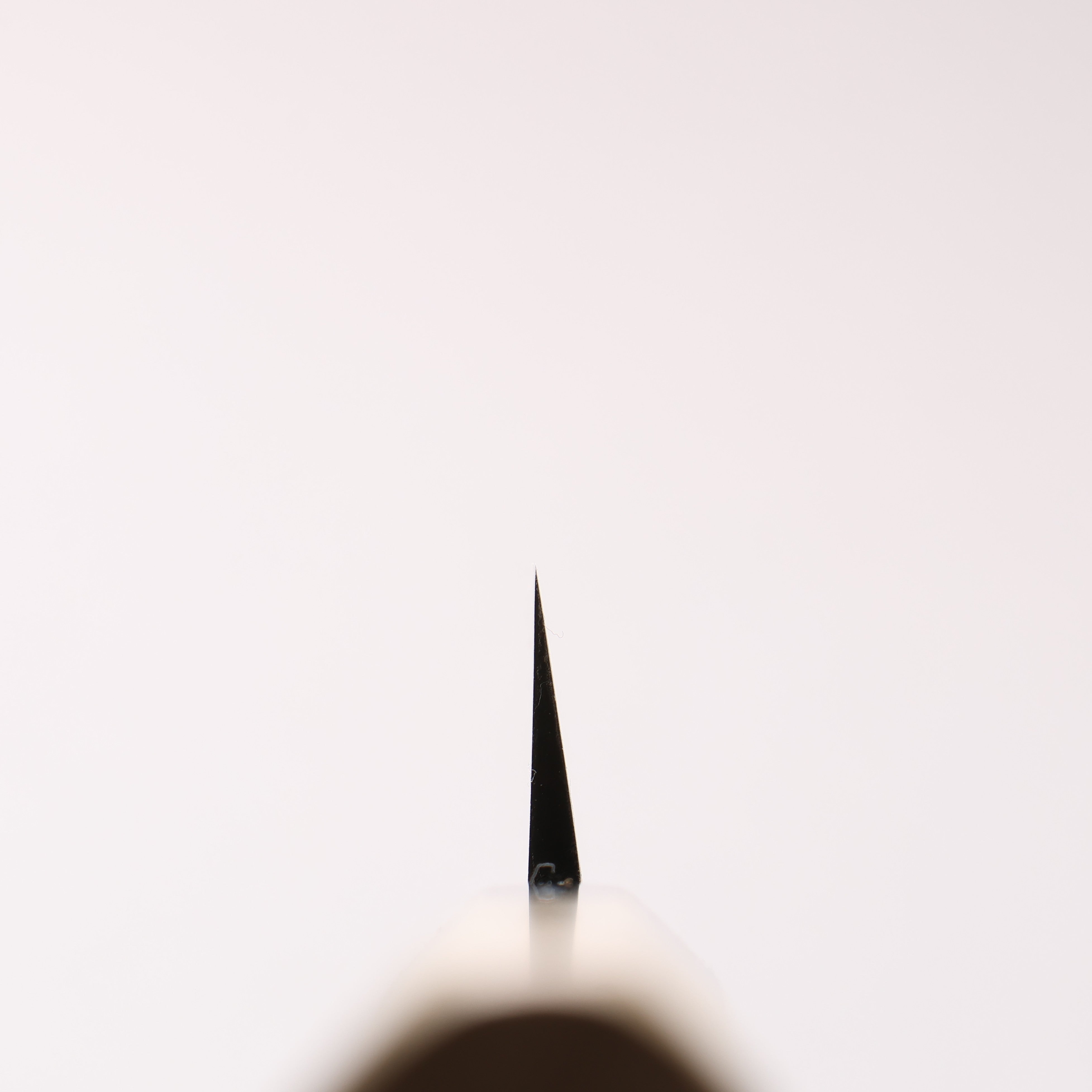 Seisuke [Left Handed] Molybdenum Kasumitogi Yanagiba 240mm - Japanny - Best Japanese Knife