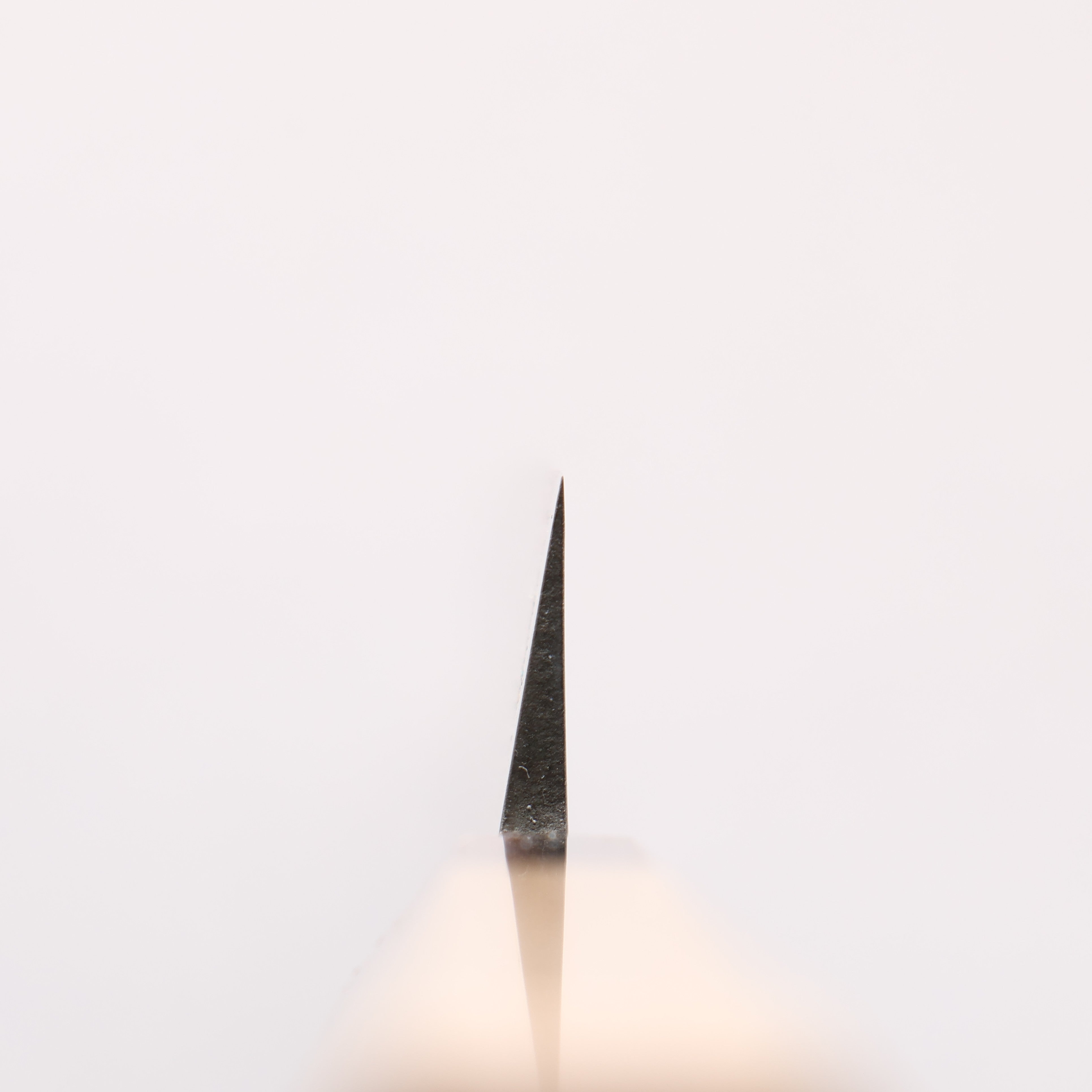 Seisuke AUS8 Yanagiba 270mm Magnolia (Ferrule: Striped Ebony) Handle Sushi School Model - Japanny - Best Japanese Knife