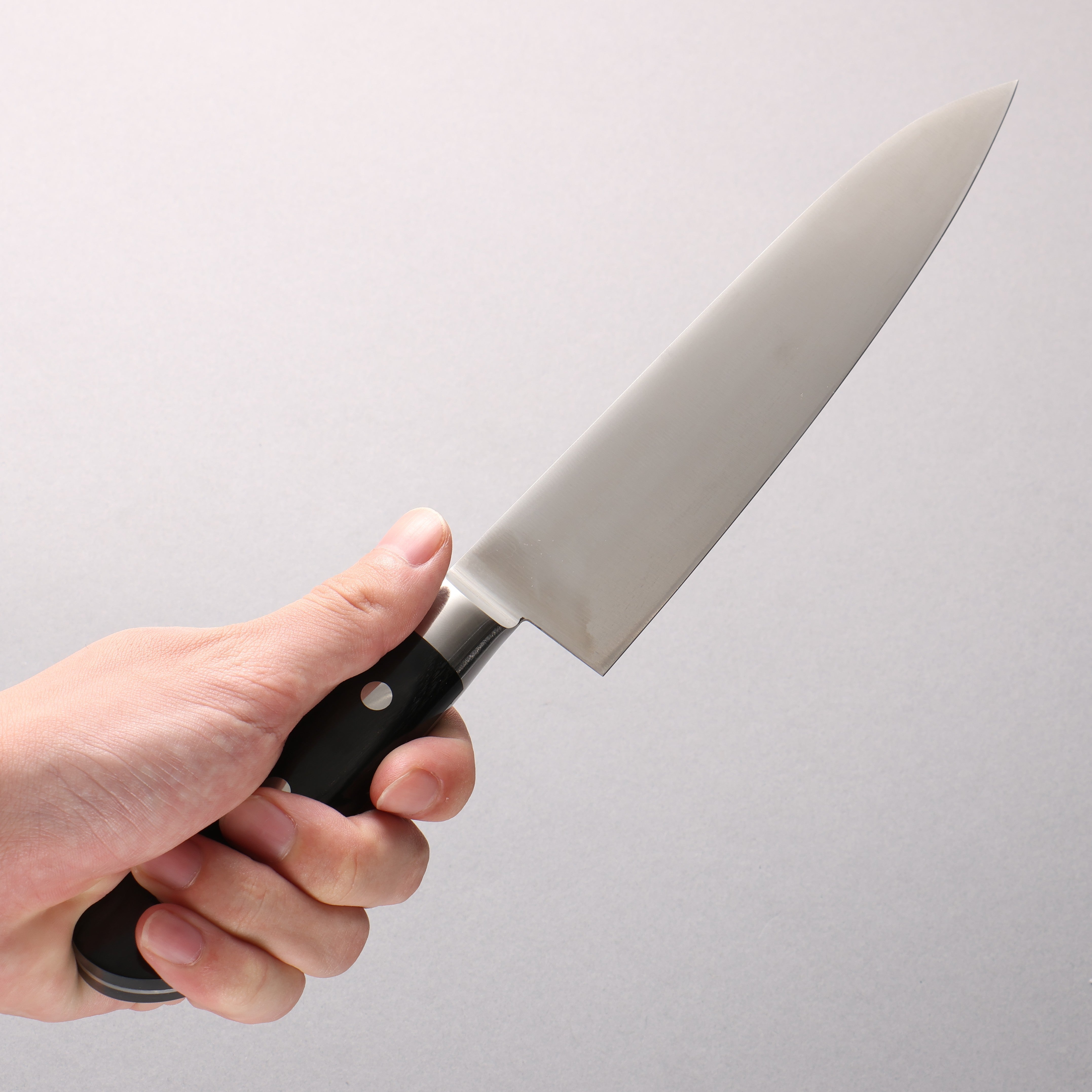 Iseya Molybdenum Gyuto 180mm Black Pakka wood Handle - Japanny - Best Japanese Knife