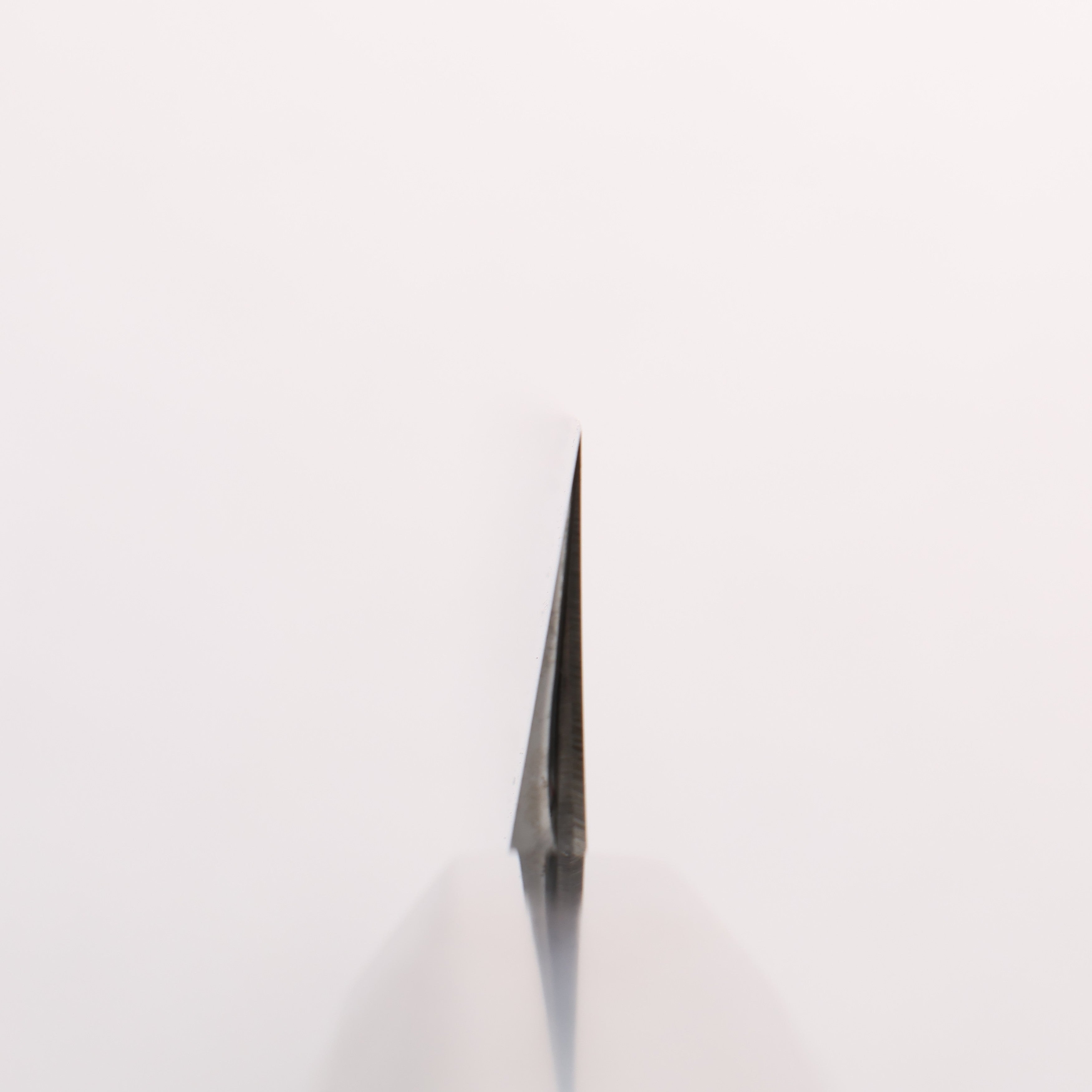Choyo Blue Steel No.1 Mirrored Finish Kiritsuke Yanagiba 300mm Ebony Wood (ferrule: Black Water Buffalo Horn) Handle - Japanny - Best Japanese Knife