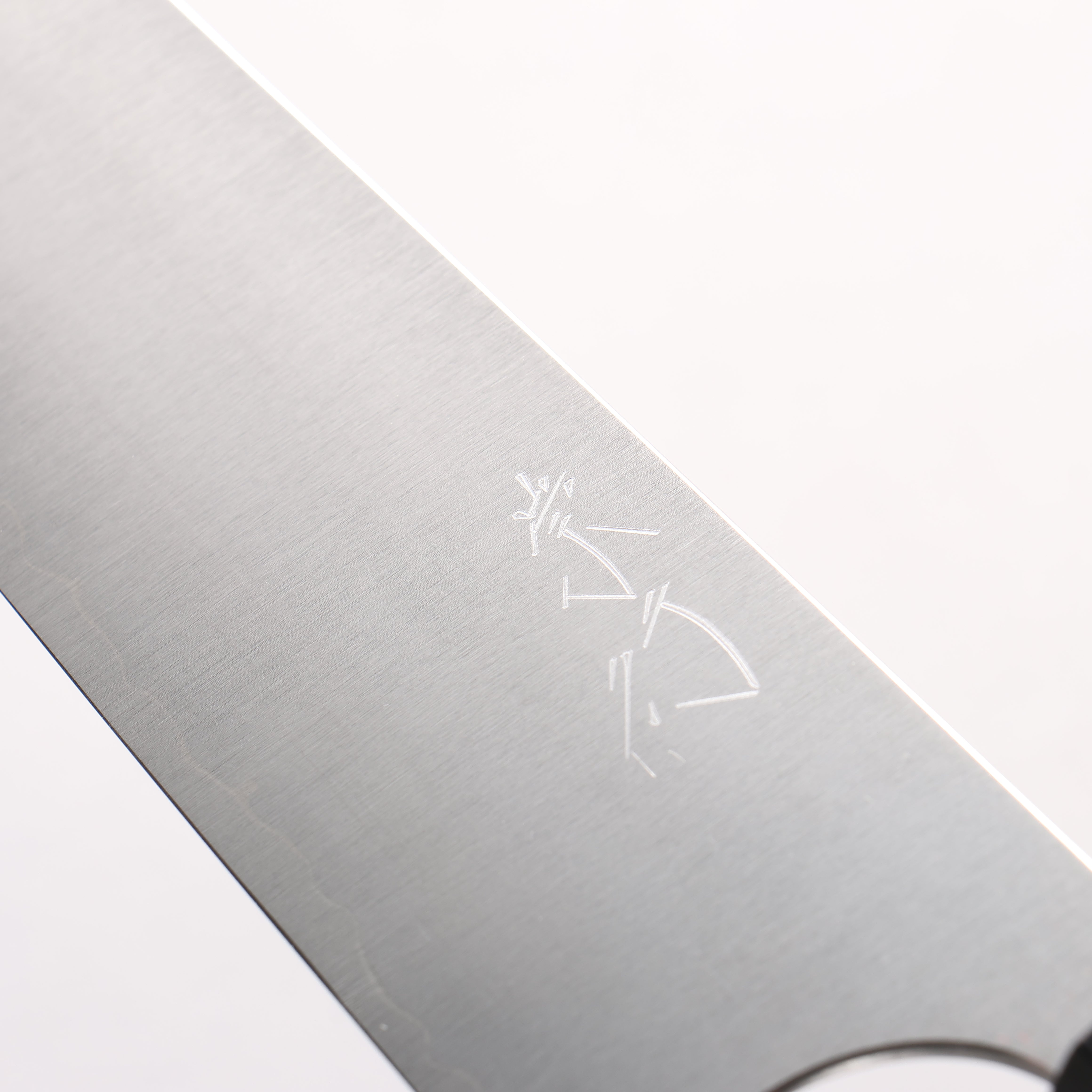 Shibata Takayuki Koutetsu SG2 Gyuto 210mm Rosewood (Ferrule: Black Pakka Wood) Handle - Japanny - Best Japanese Knife
