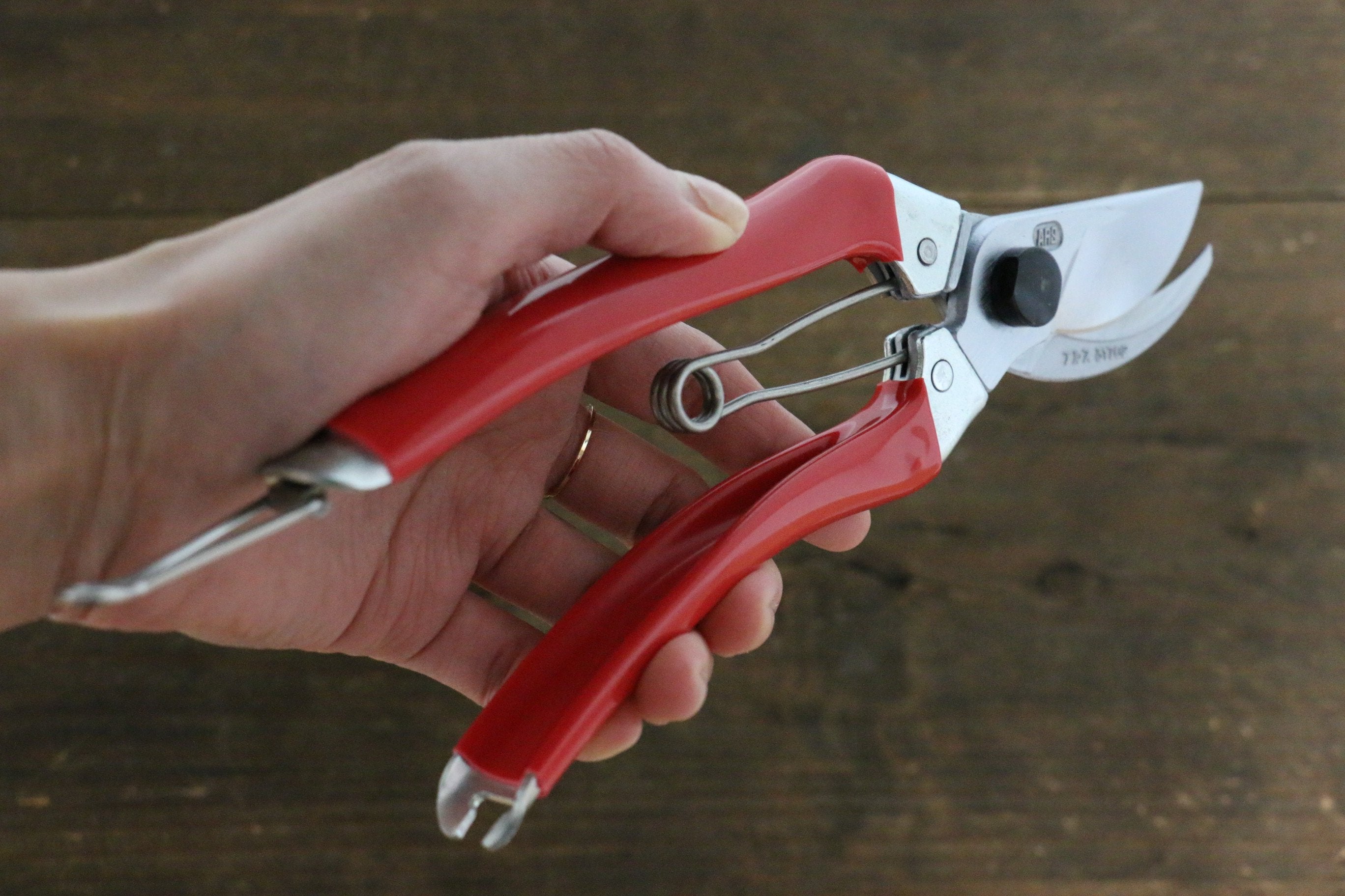 ARS Pruning Shears 120S-8 - Japanny - Best Japanese Knife