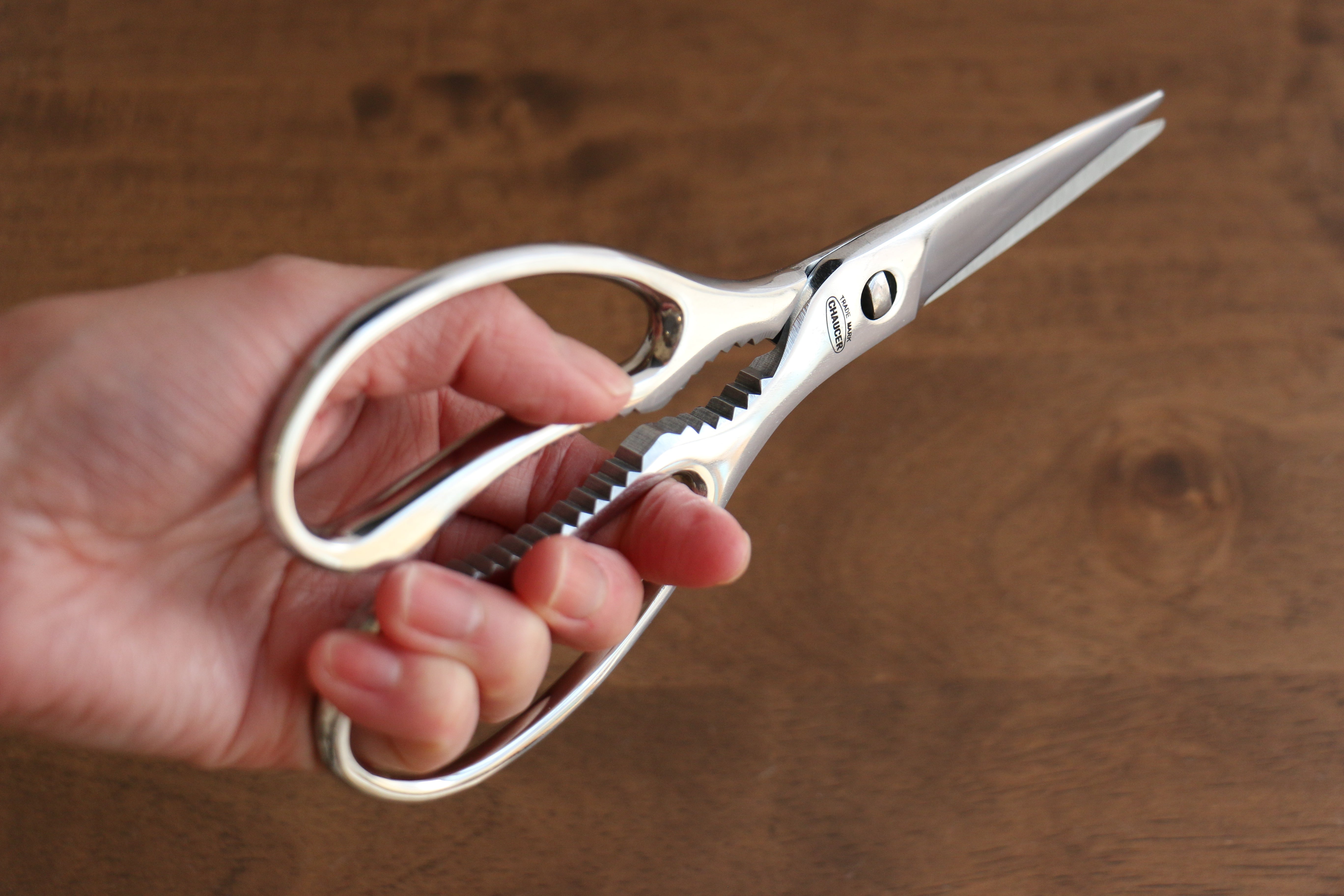 New Kokkusan Stainless Steel Kitchen Scissors - Japanny - Best Japanese Knife