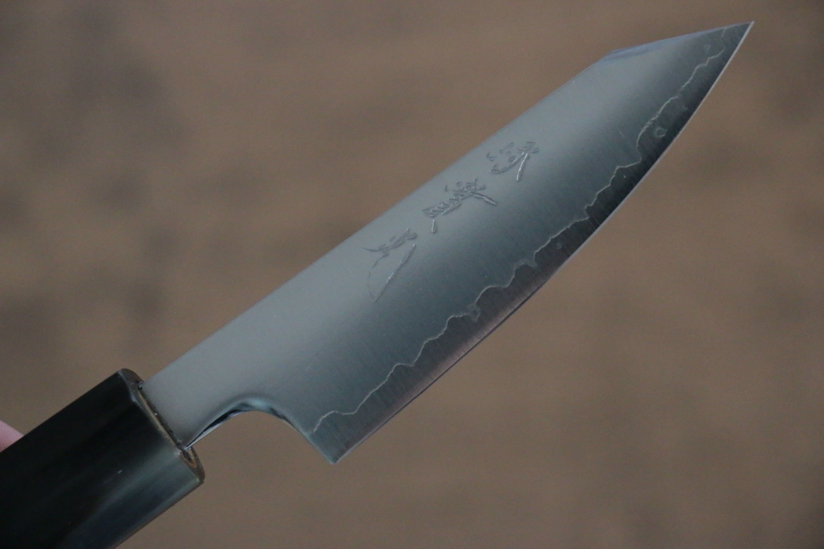 Jikko SG2 Kiritsuke Petty-Utility  70mm Magnolia Handle - Japanny - Best Japanese Knife